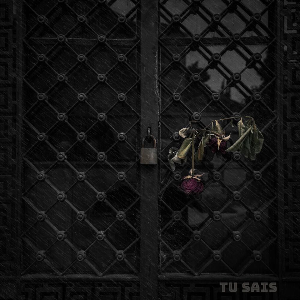 Релиз Tu sais