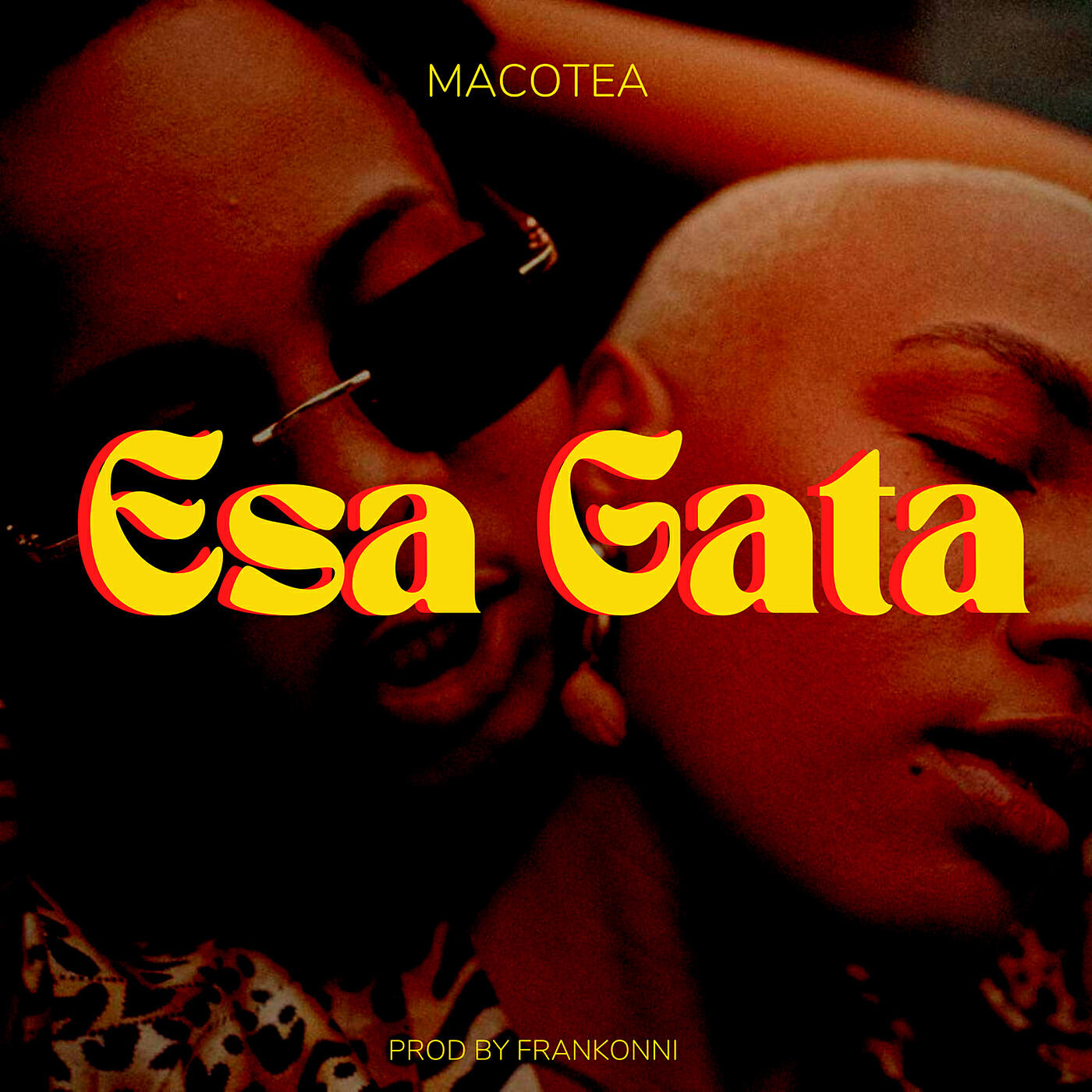 Macotea
