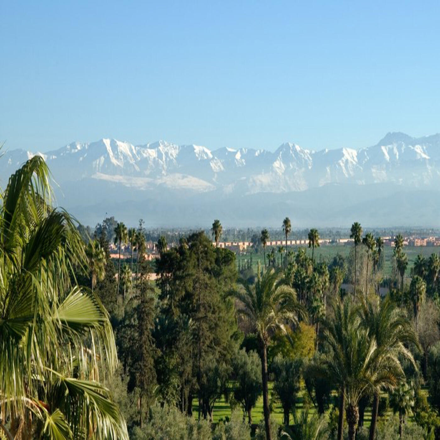 Релиз Marrakesh