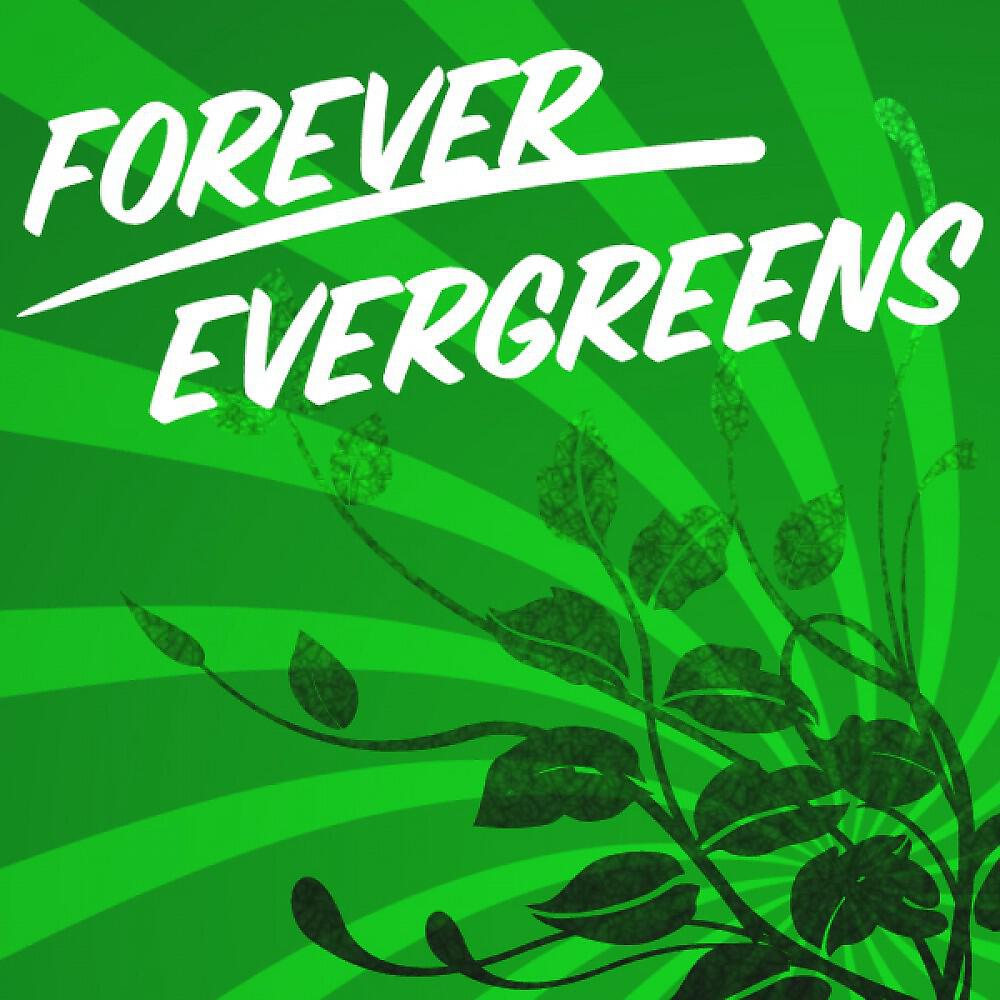 Релиз Forever Evergreens