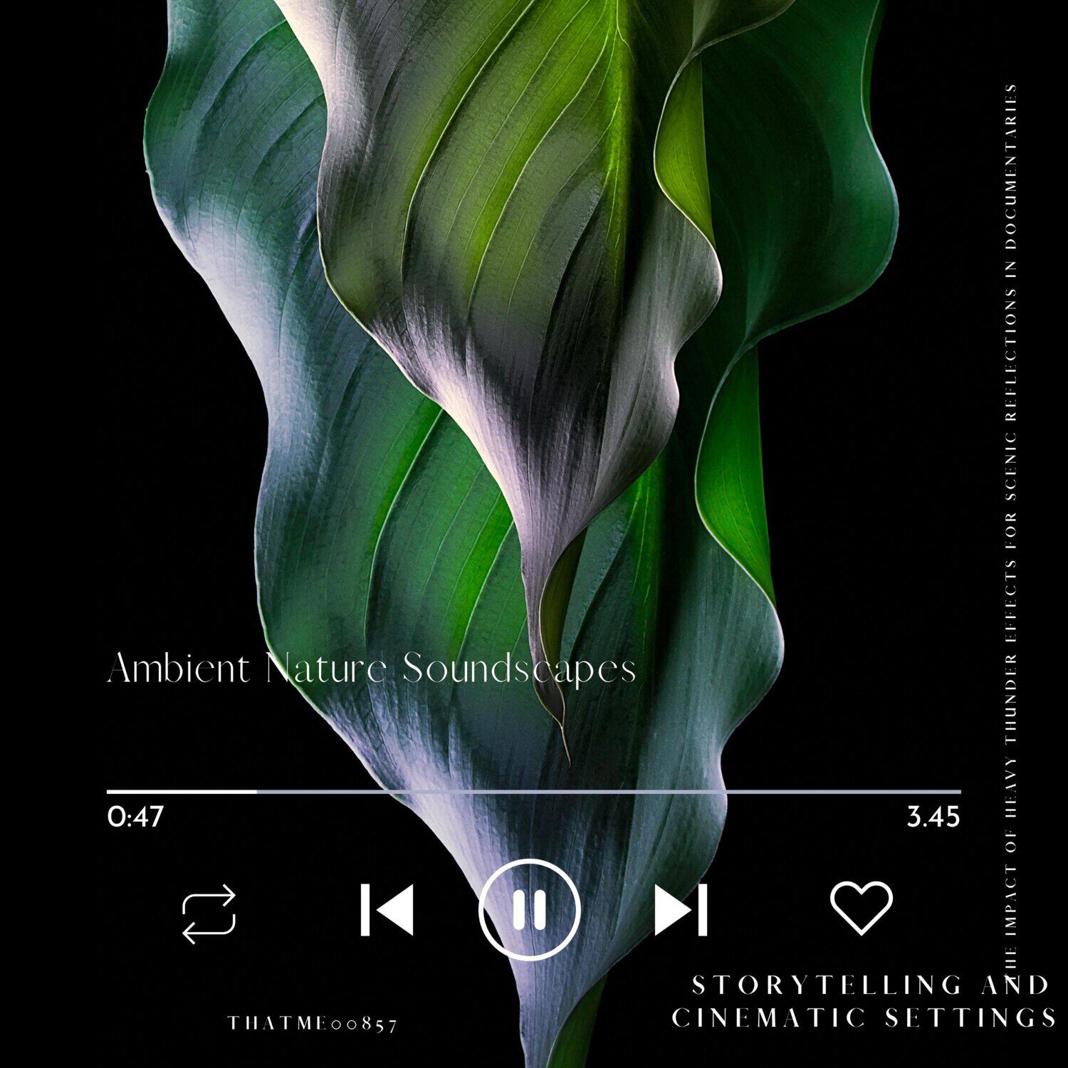 Релиз Ambient Nature Soundscapes - The Impact of Heavy Thunder Effects for Scenic Reflections in Documentaries, Storytelling and Cinematic Settings, Vol. 02
