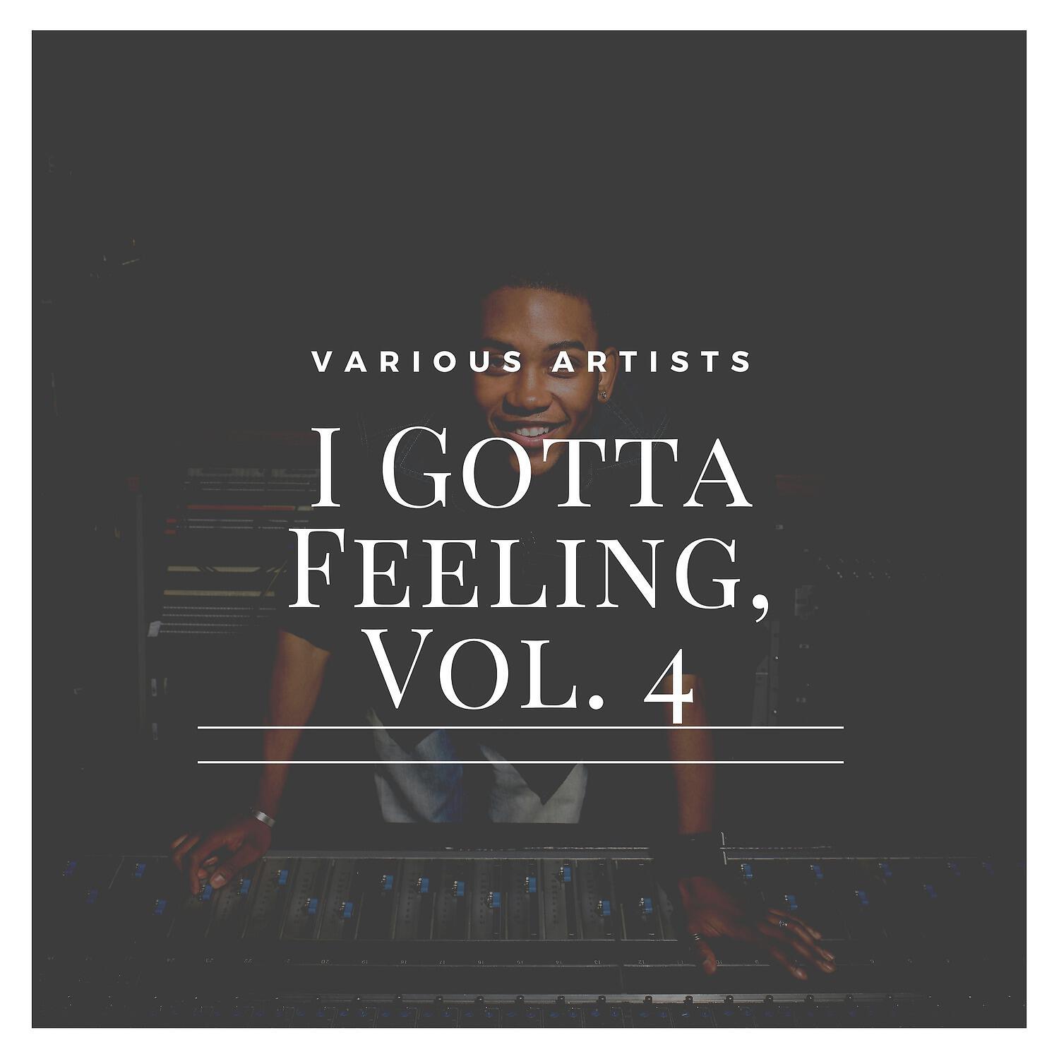 Релиз I Gotta Feeling, Vol. 4