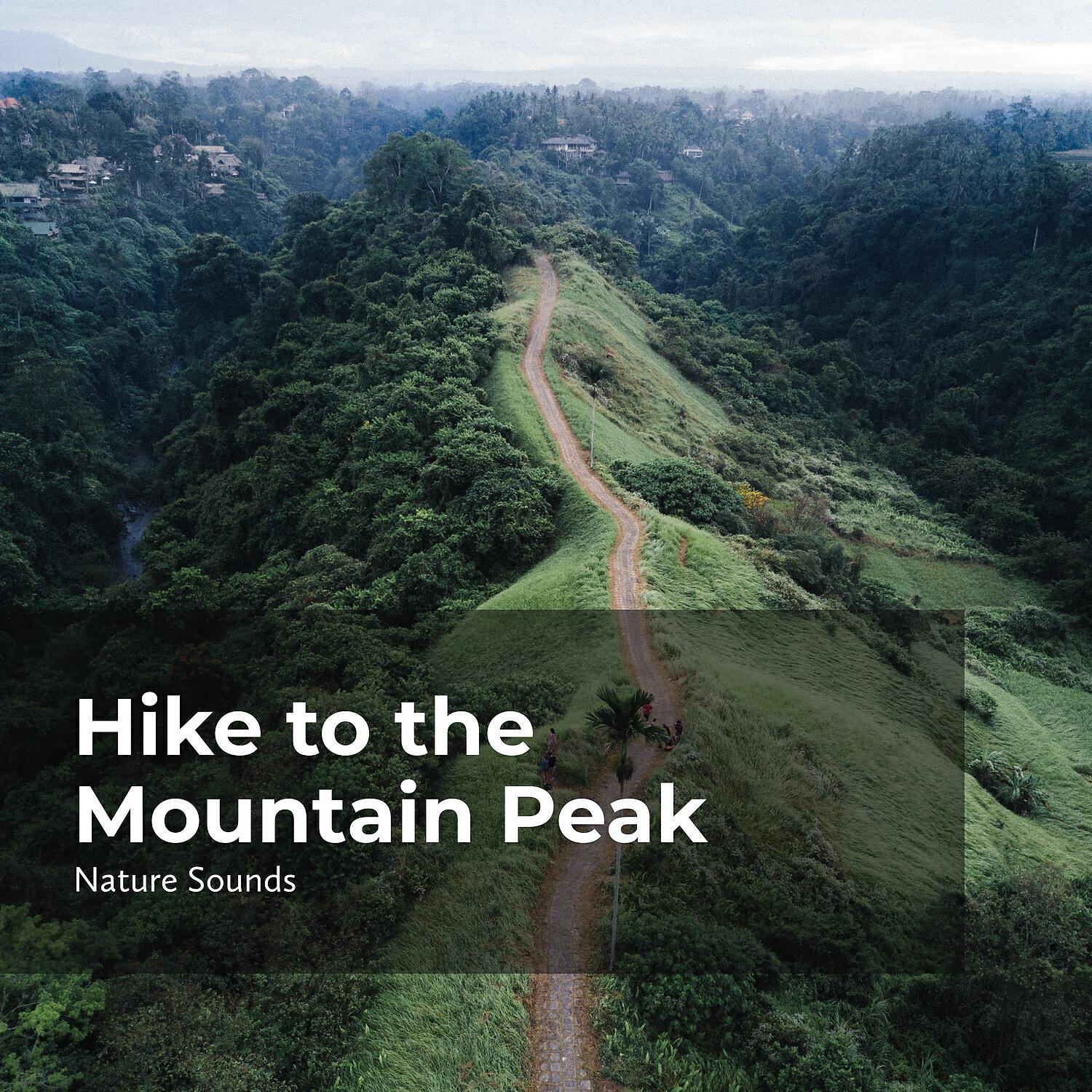 Релиз Hike to the Mountain Peak