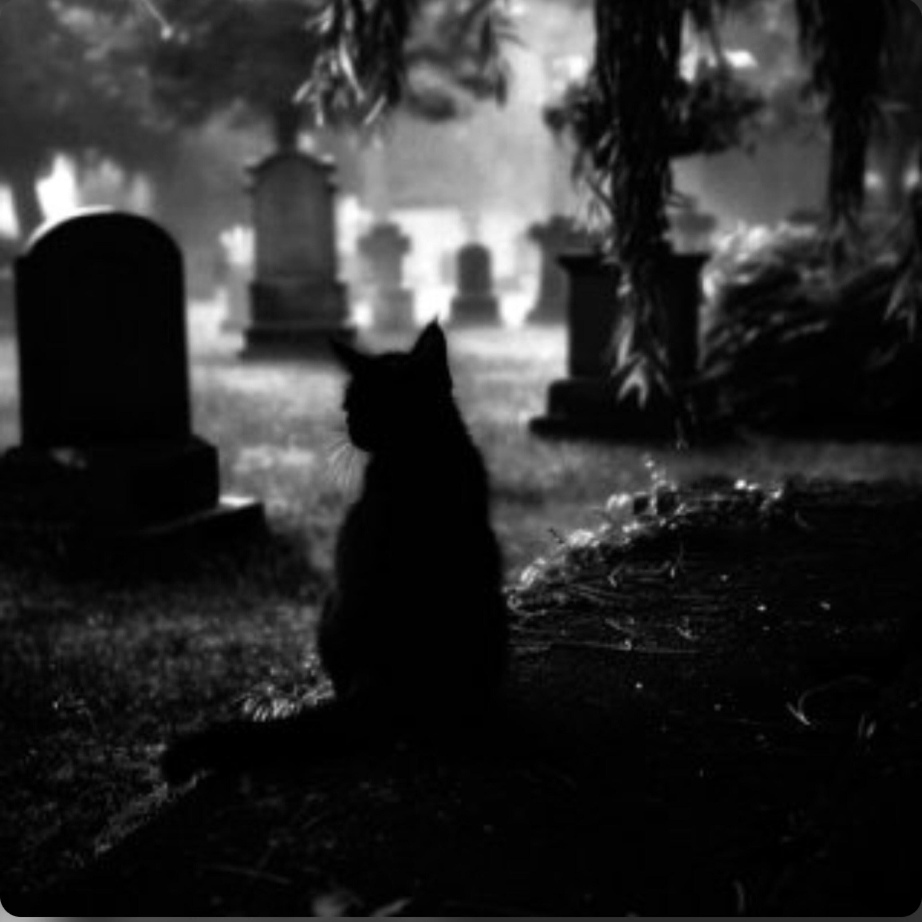 Релиз GRAVEYARD (VIRAL EDIT VERSIONS)