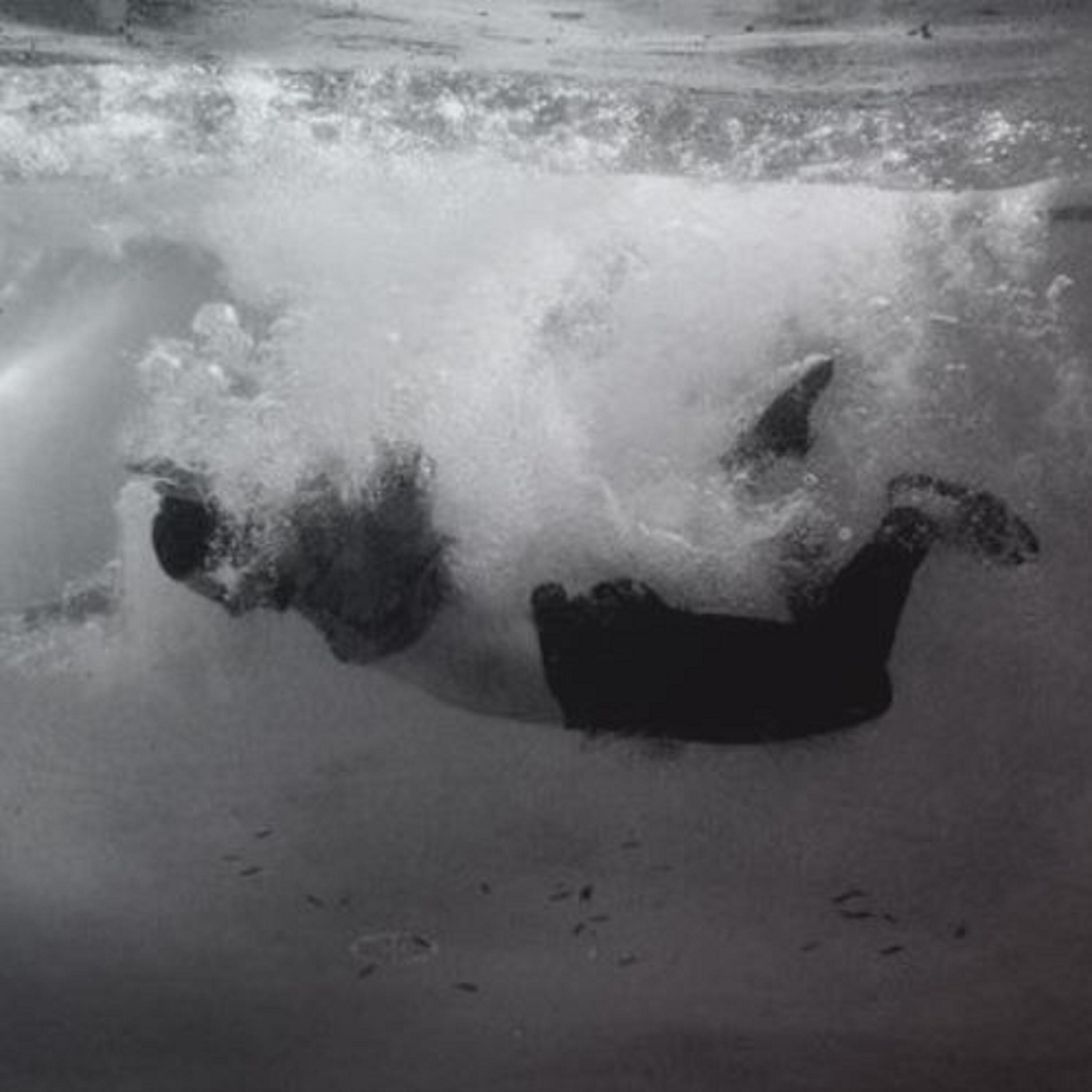 Релиз Fall Apart