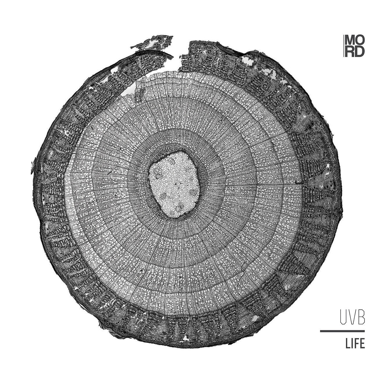 Релиз Life