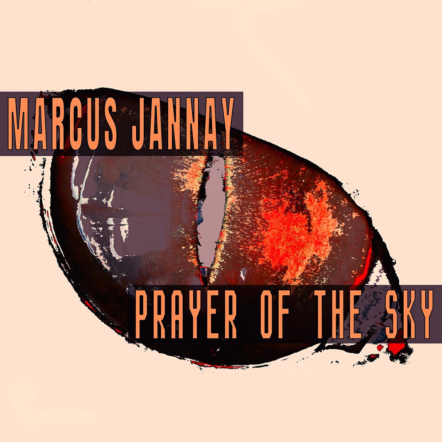 Marcus Jannay
