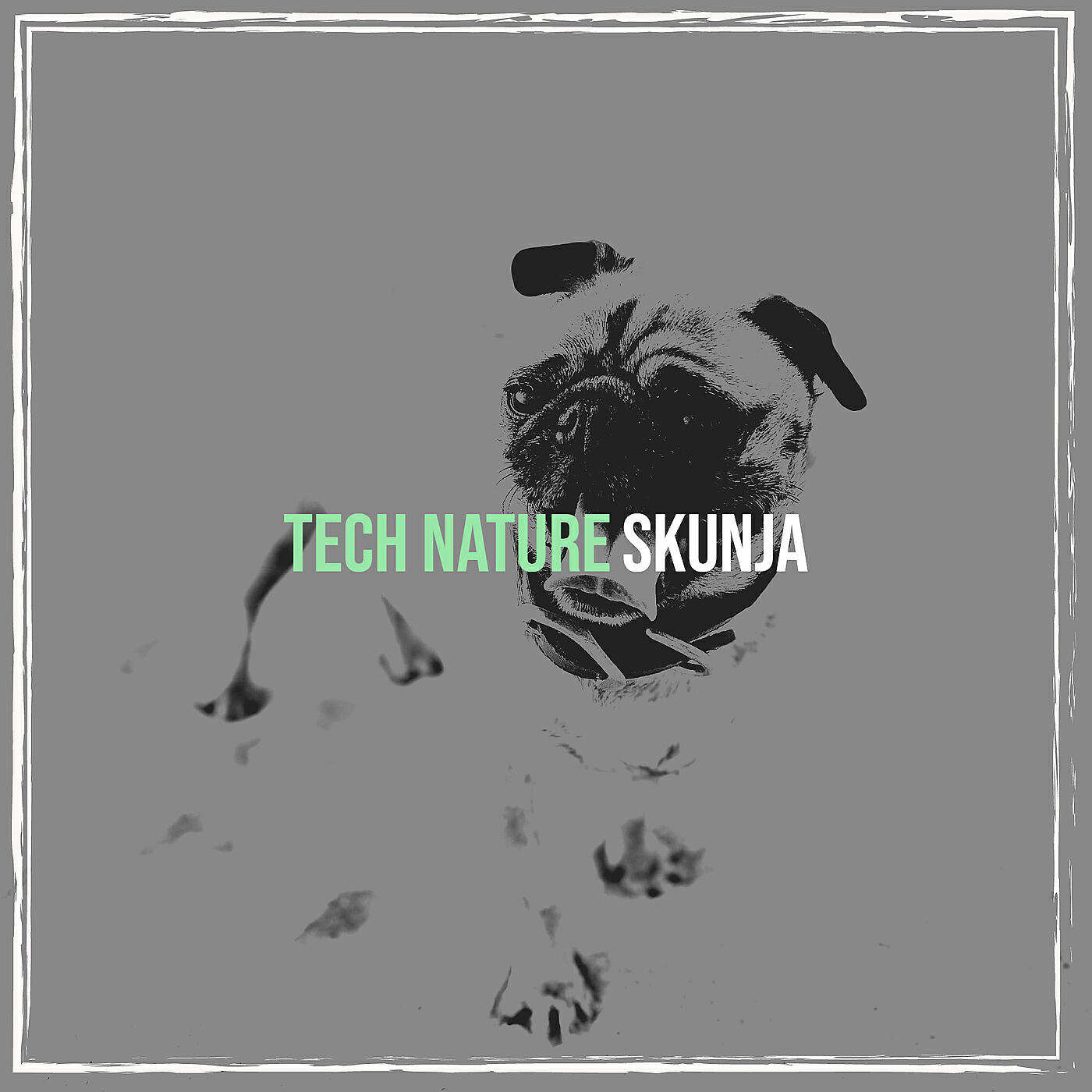 Релиз Tech Nature