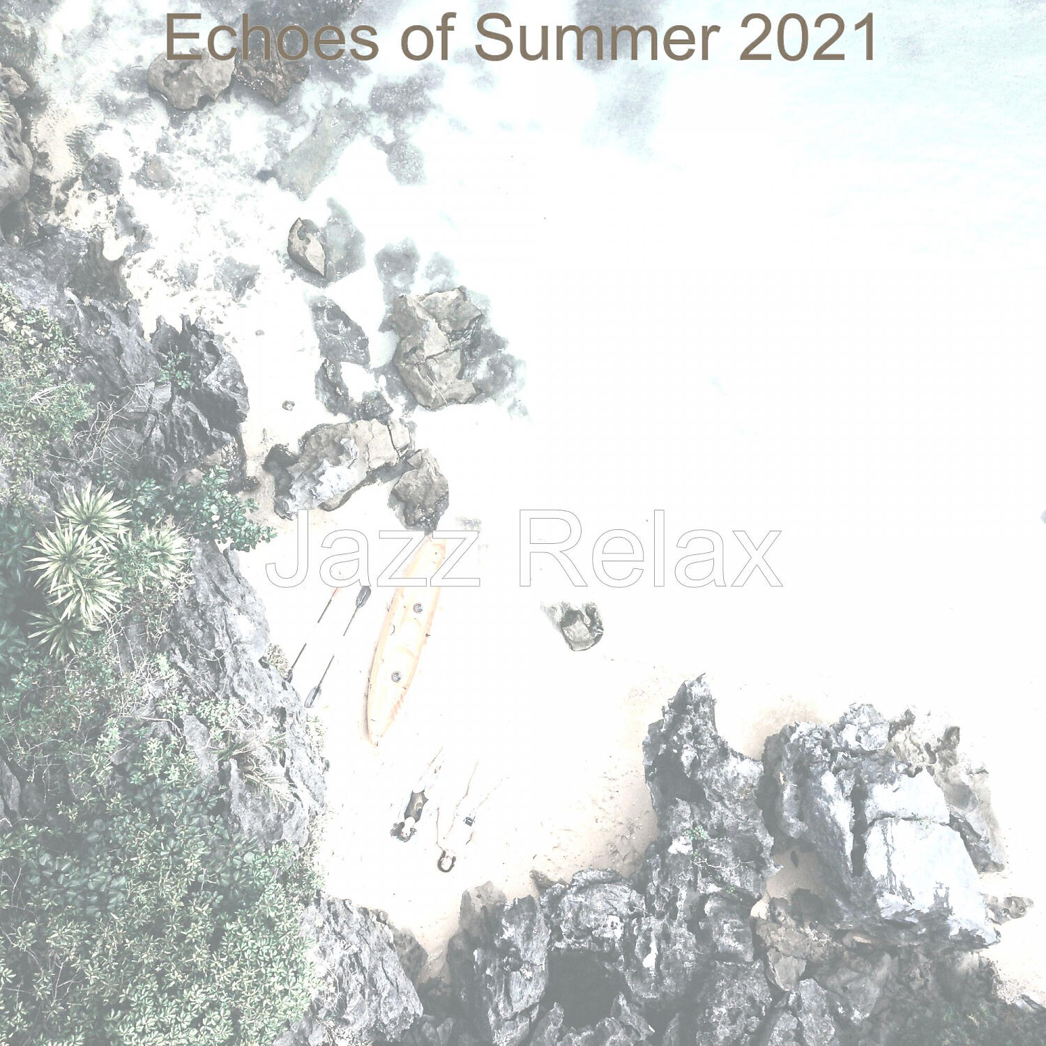 Постер альбома Echoes of Summer 2021