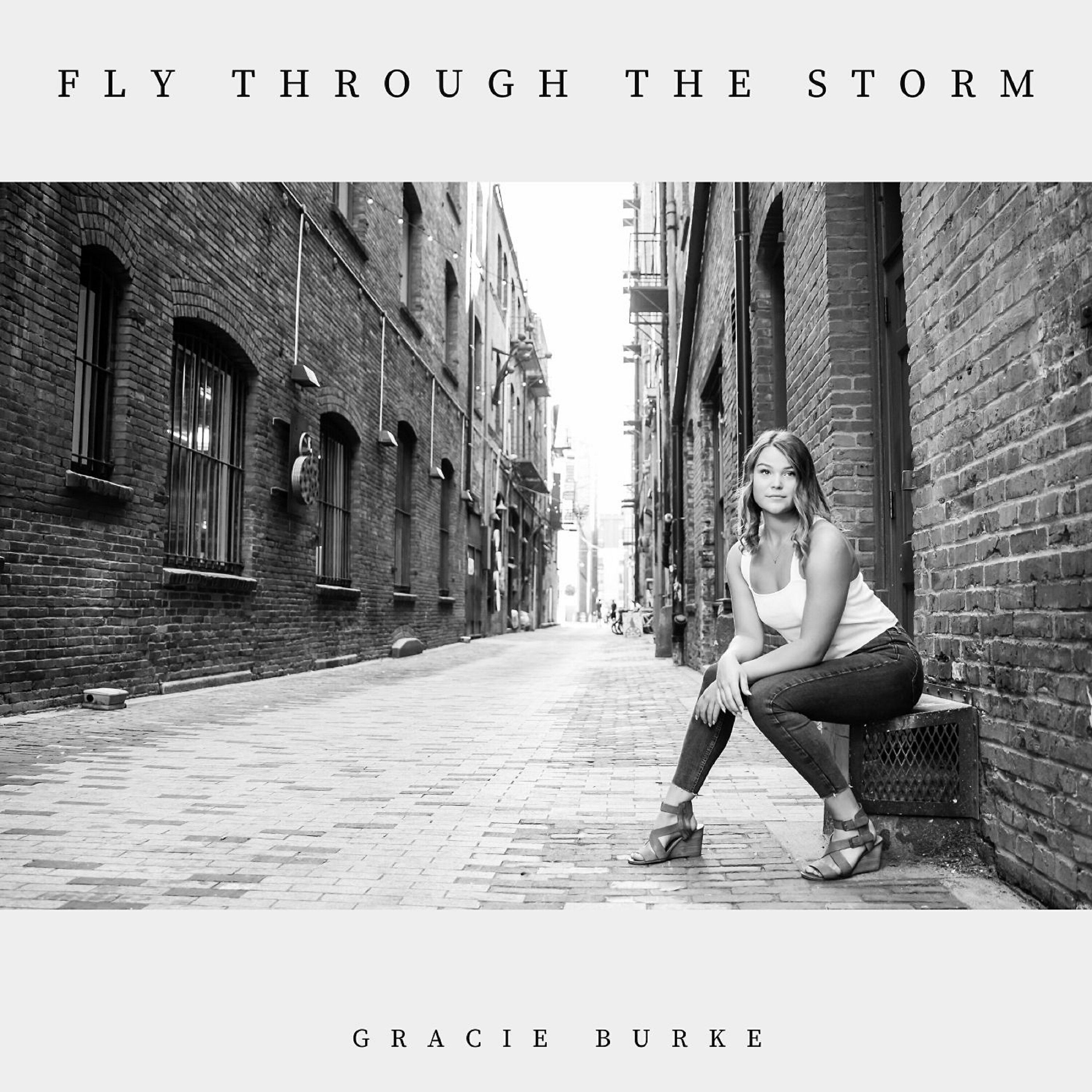 Релиз Fly Through the Storm