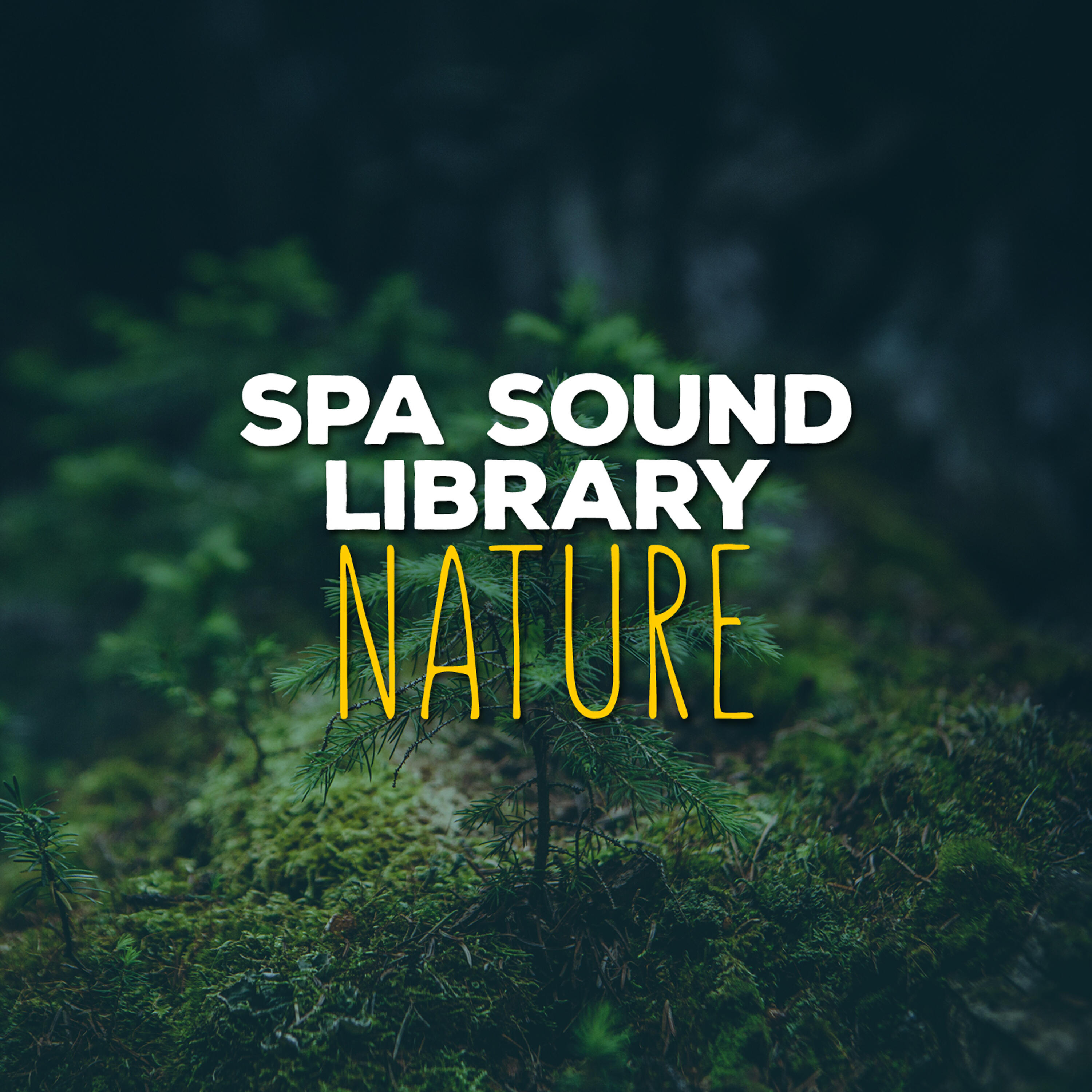 Релиз Spa Sound Library: Nature