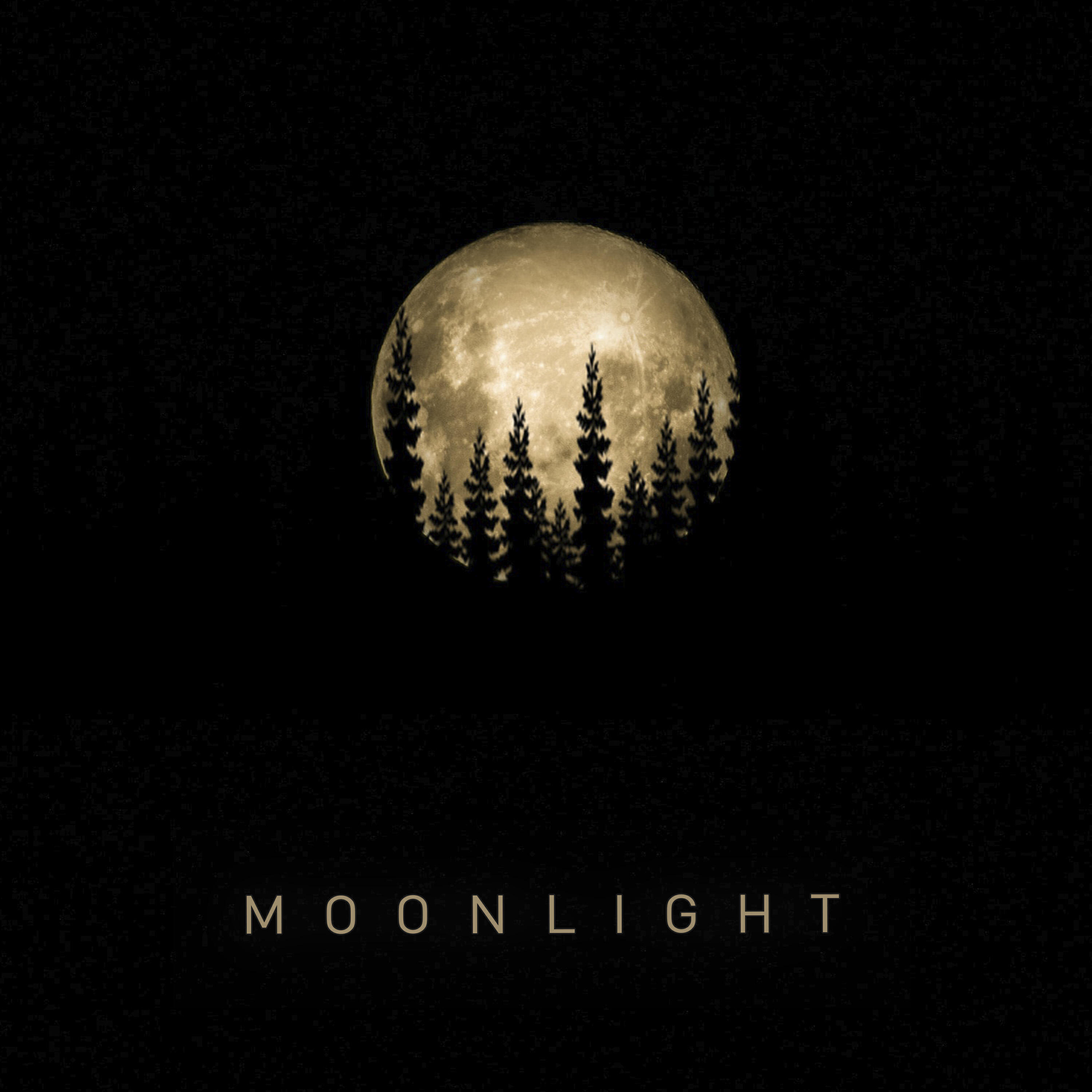 Релиз Moonlight