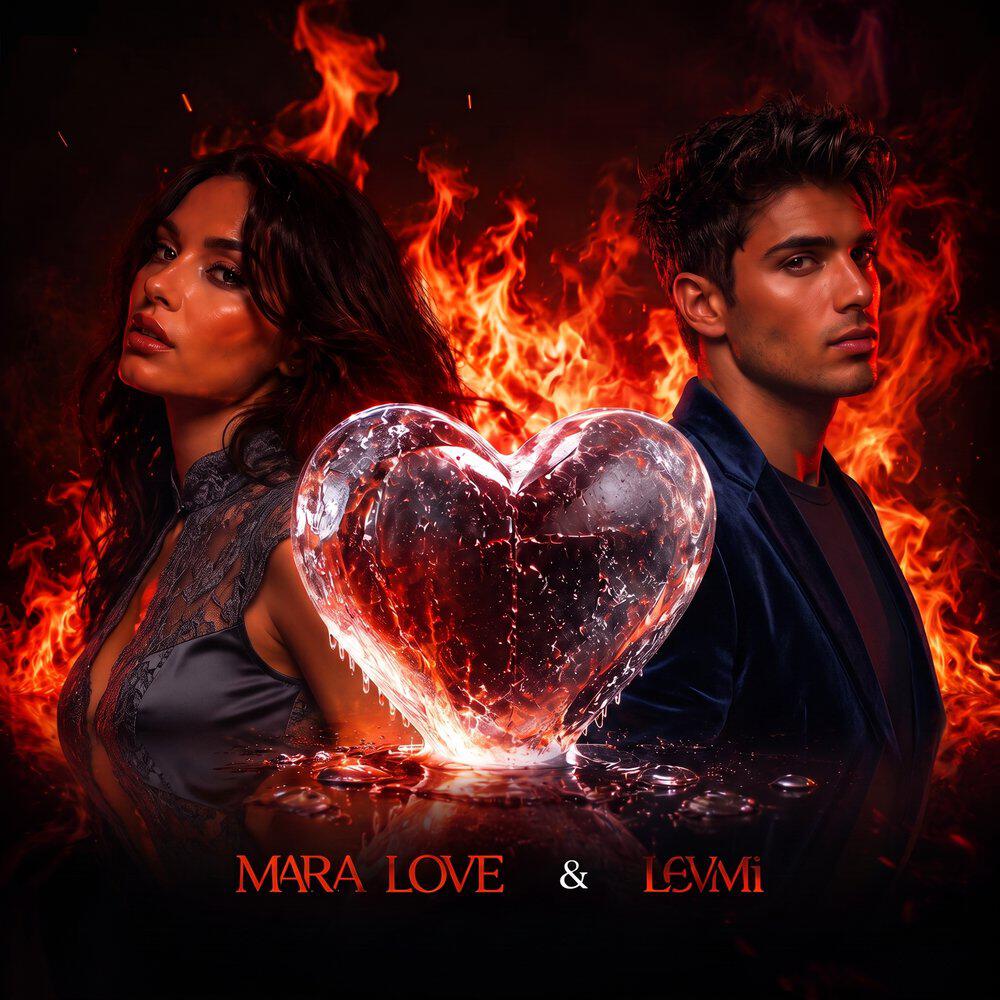 LEVMI