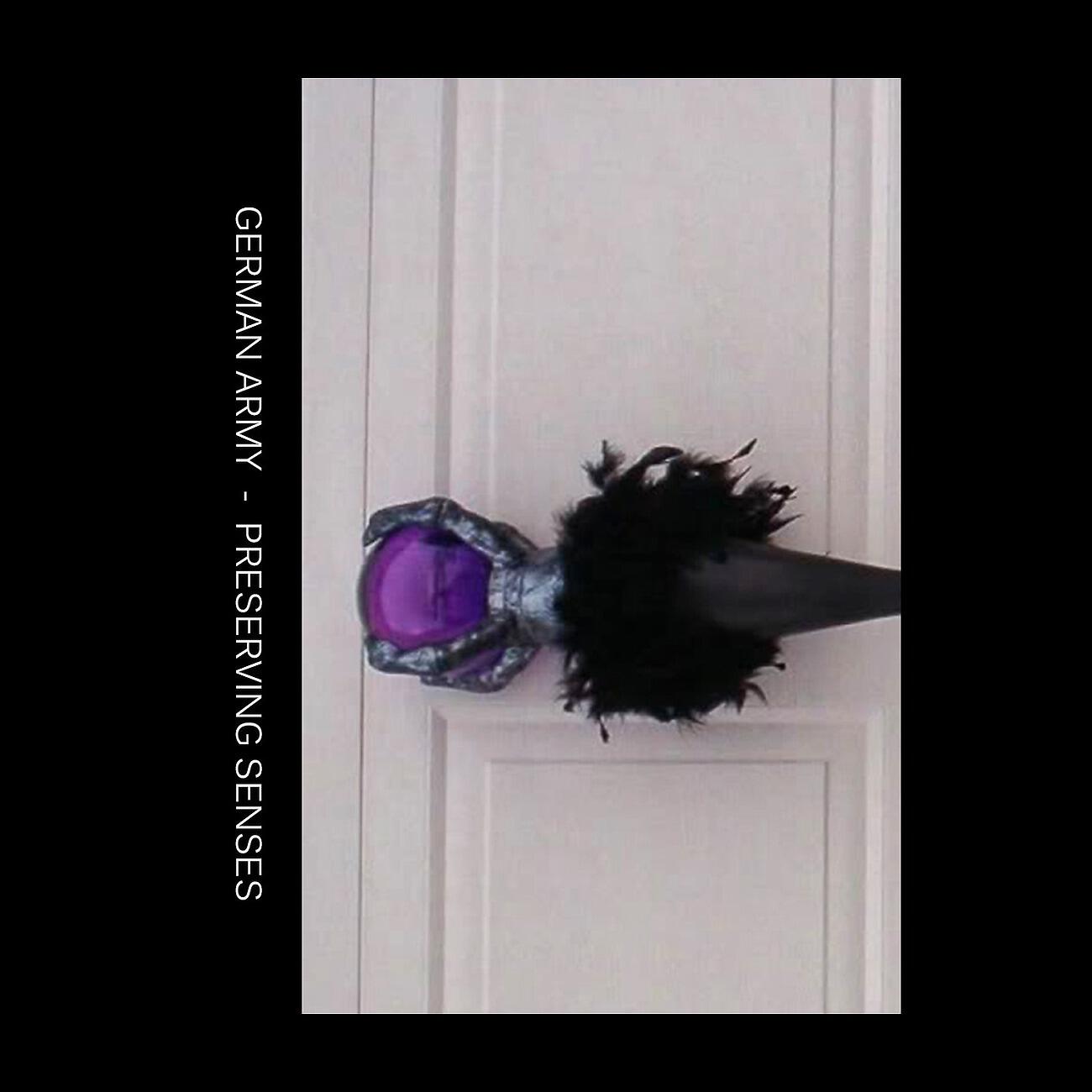 Релиз Preserving Senses