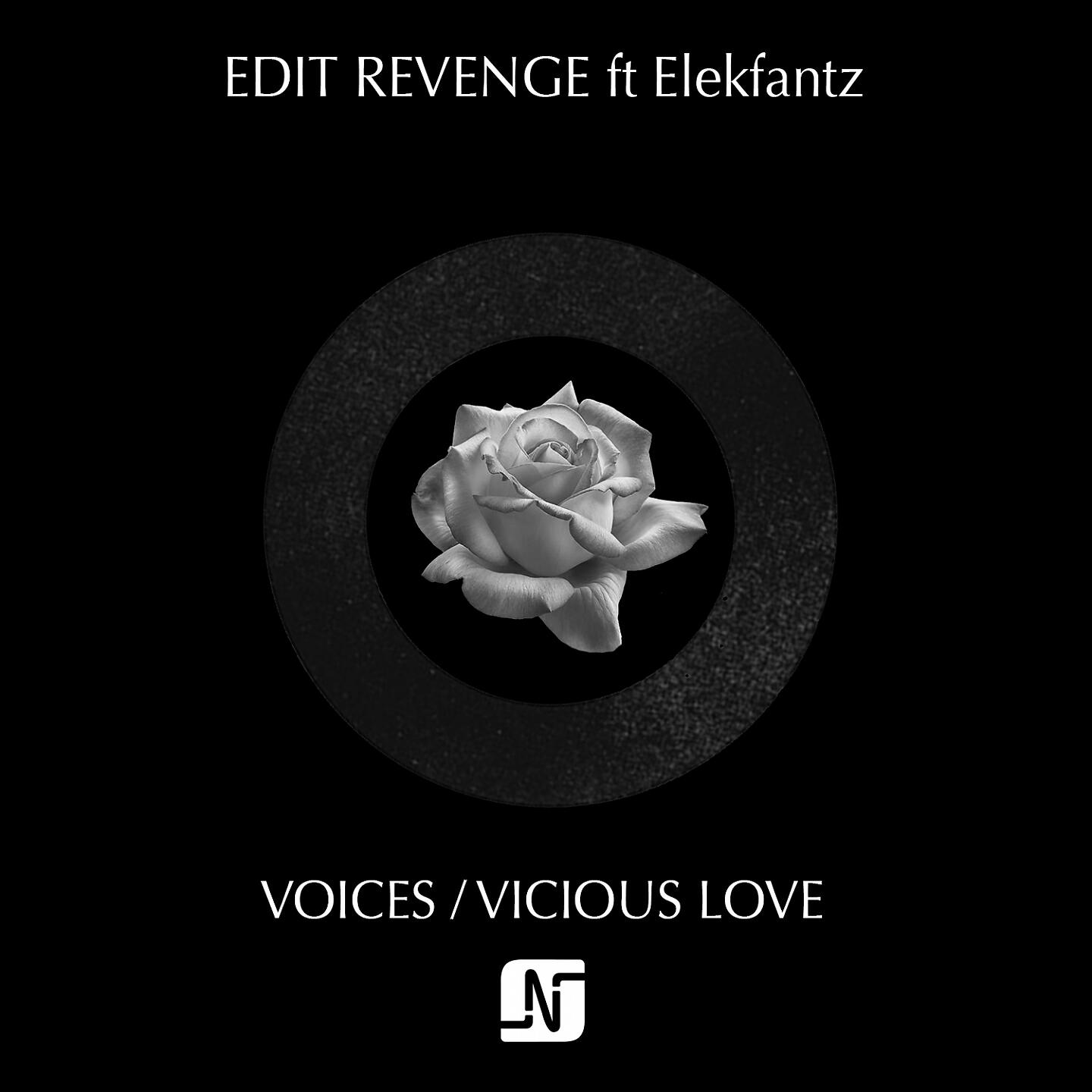 Релиз Voices / Vicious Love