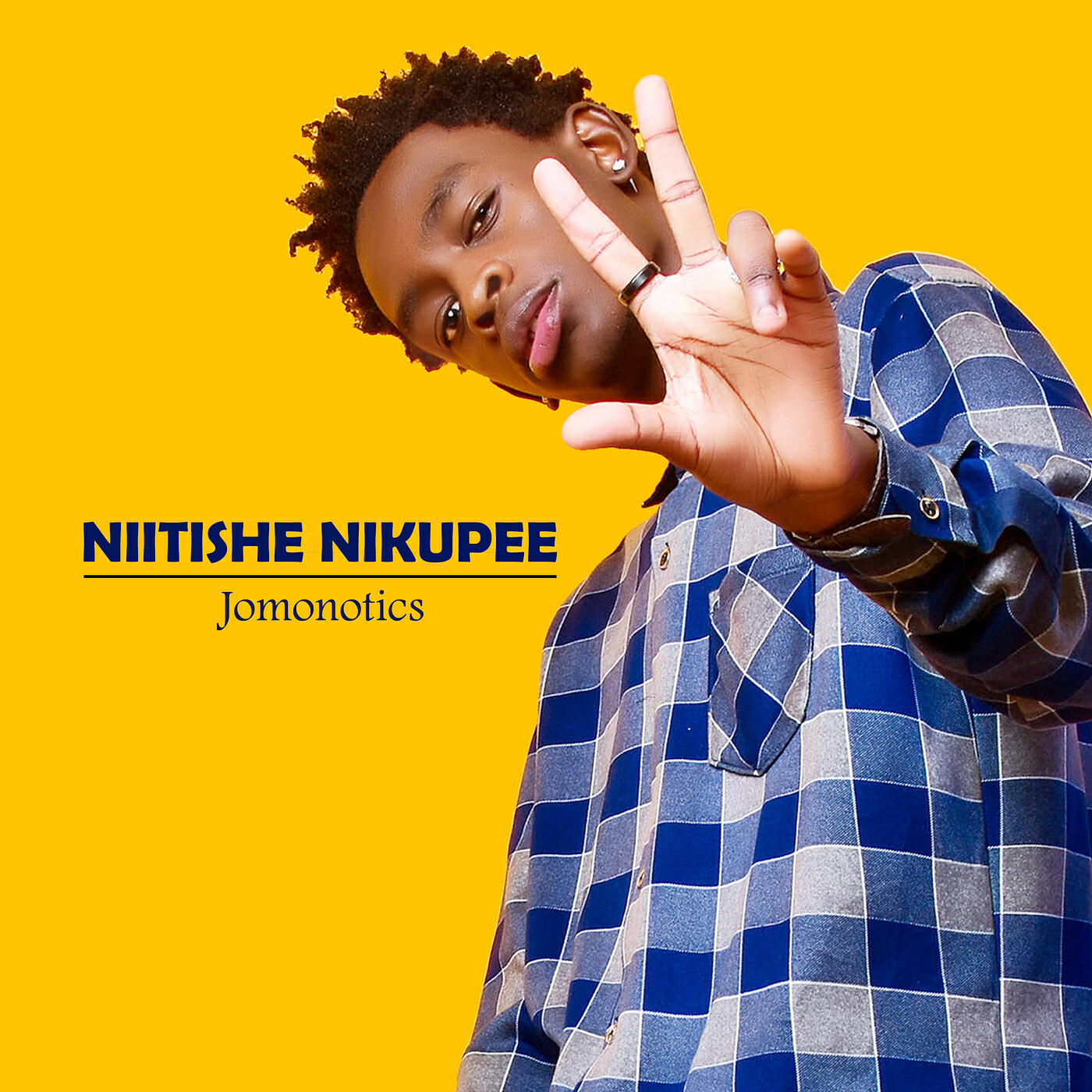 Релиз Niitishe Nikupee