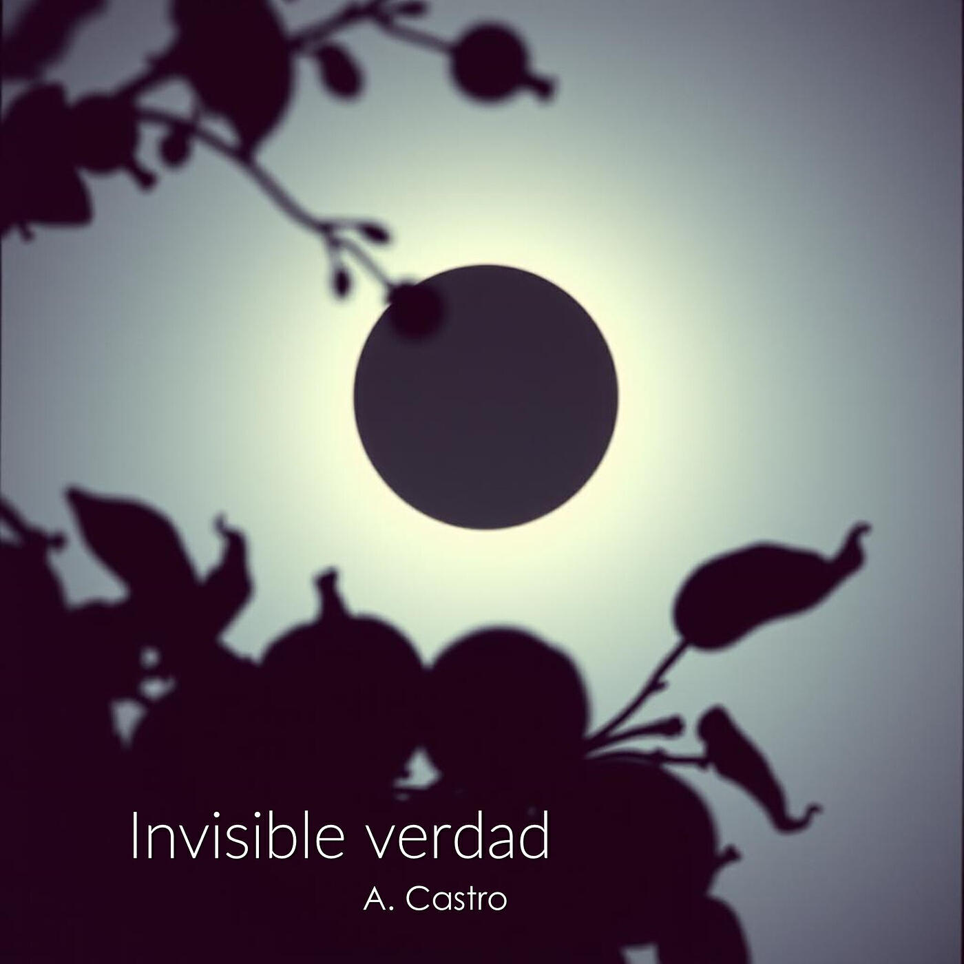 Релиз Invisible Verdad