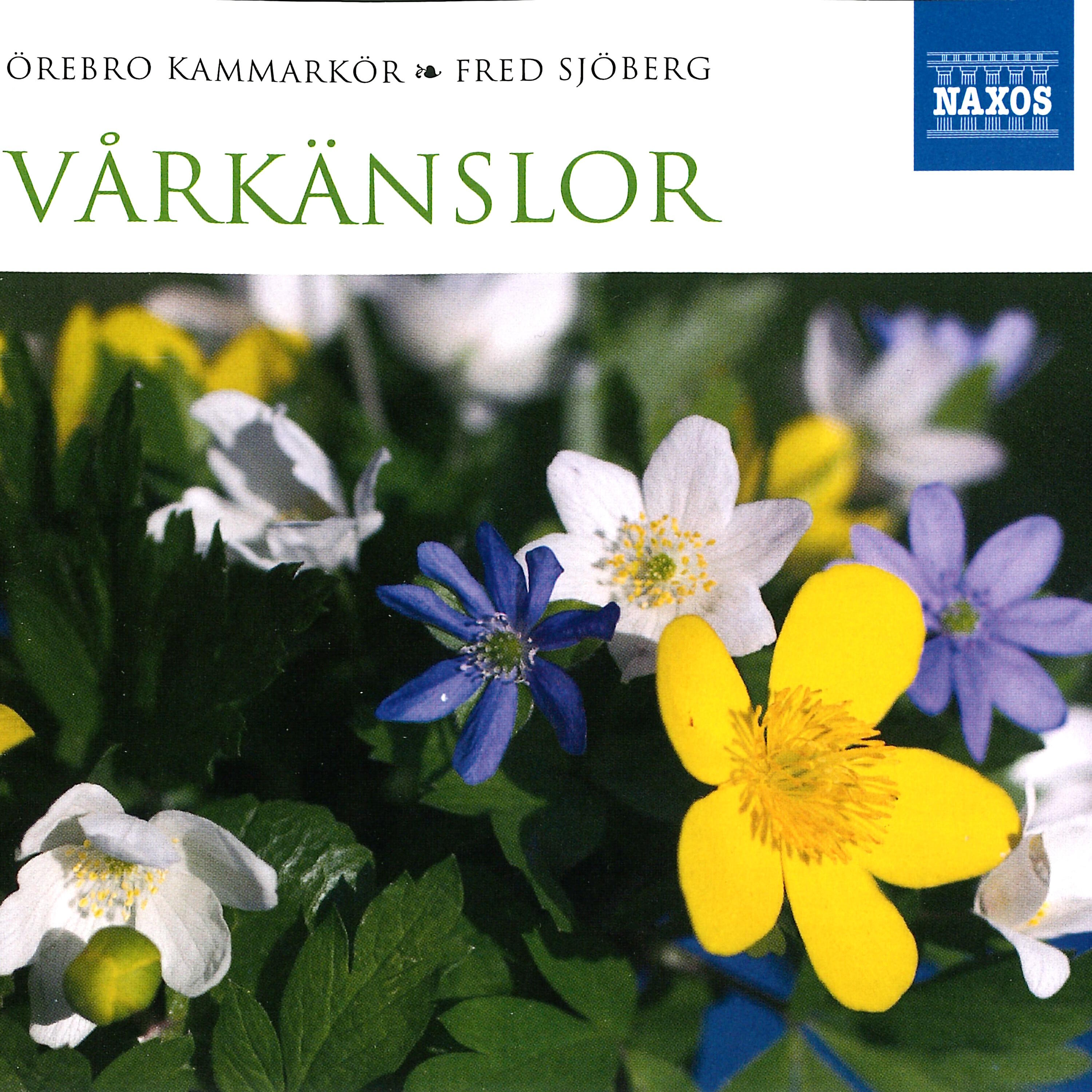Релиз Vårkänslor