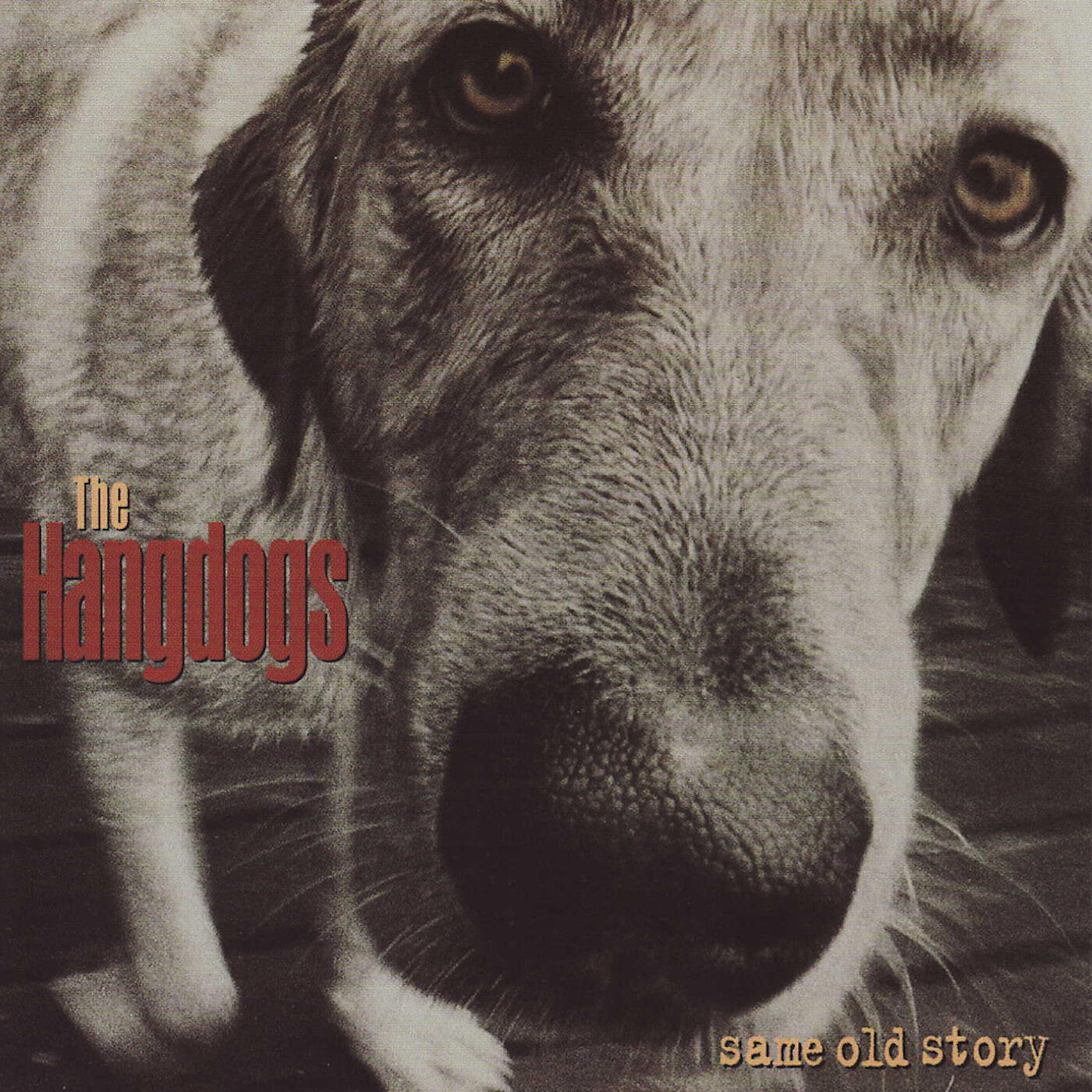 Релиз Same Old Story