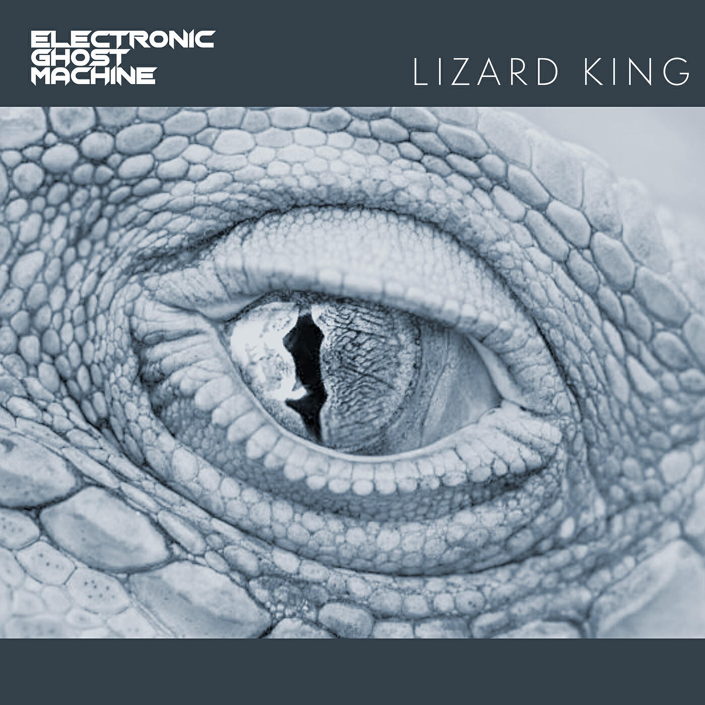 Постер альбома Lizard King