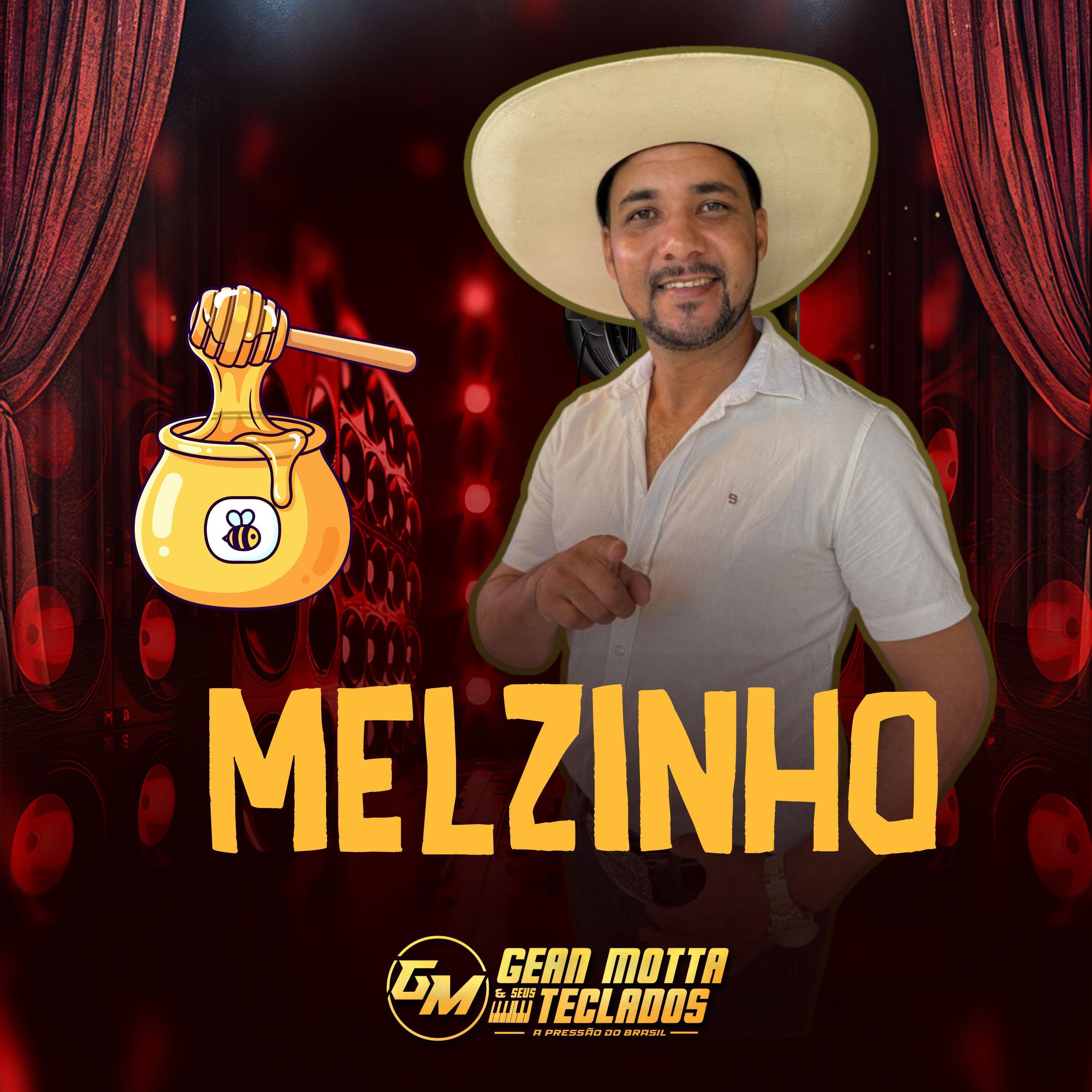 Релиз Melzinho