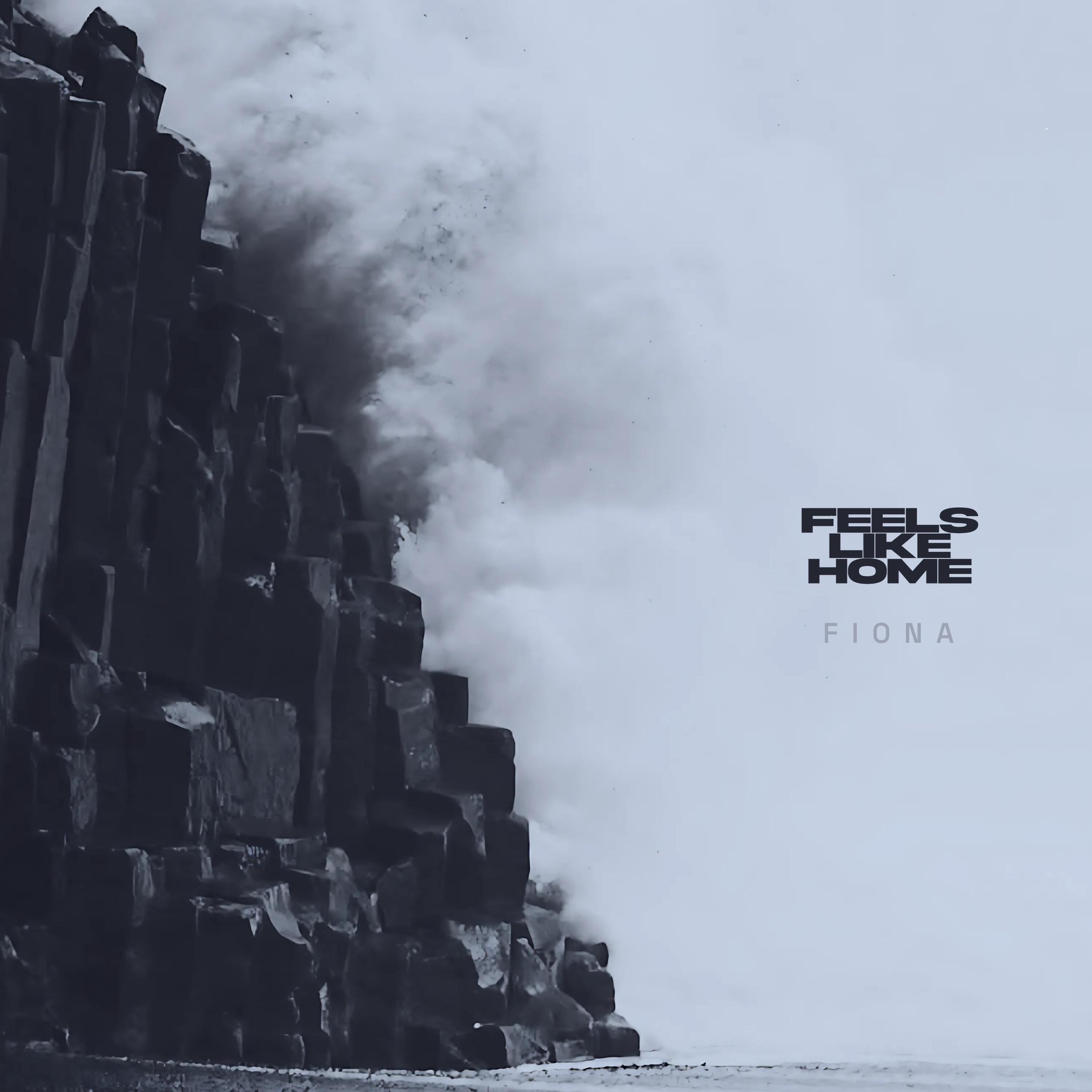 Релиз FIONA