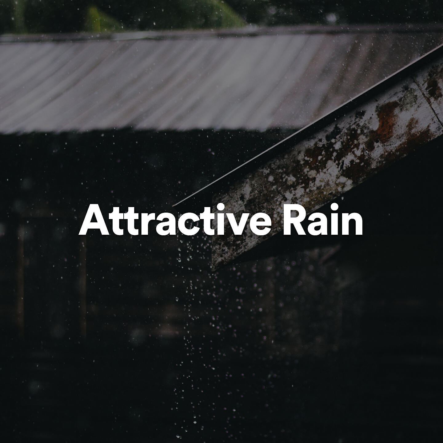 Релиз Attractive Rain
