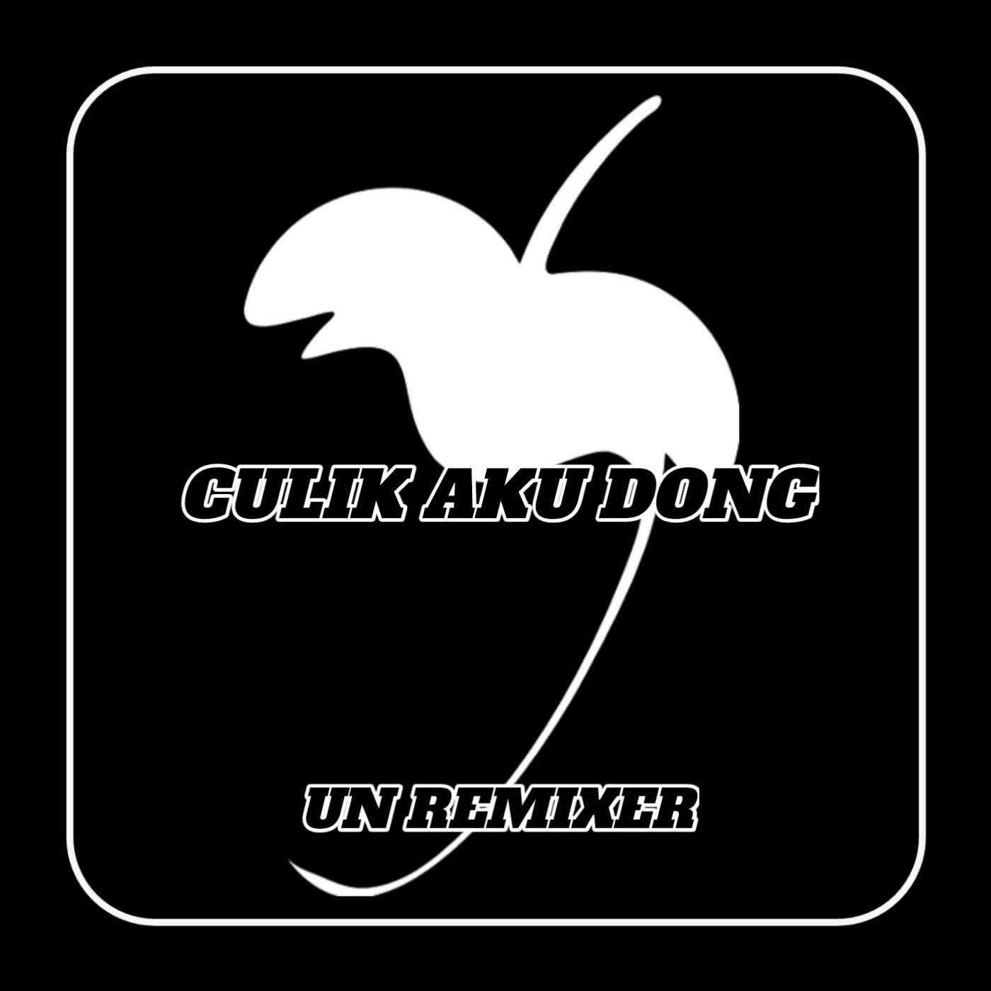 Релиз DJ Aduh Sayang Culik Aku Dong Fyp