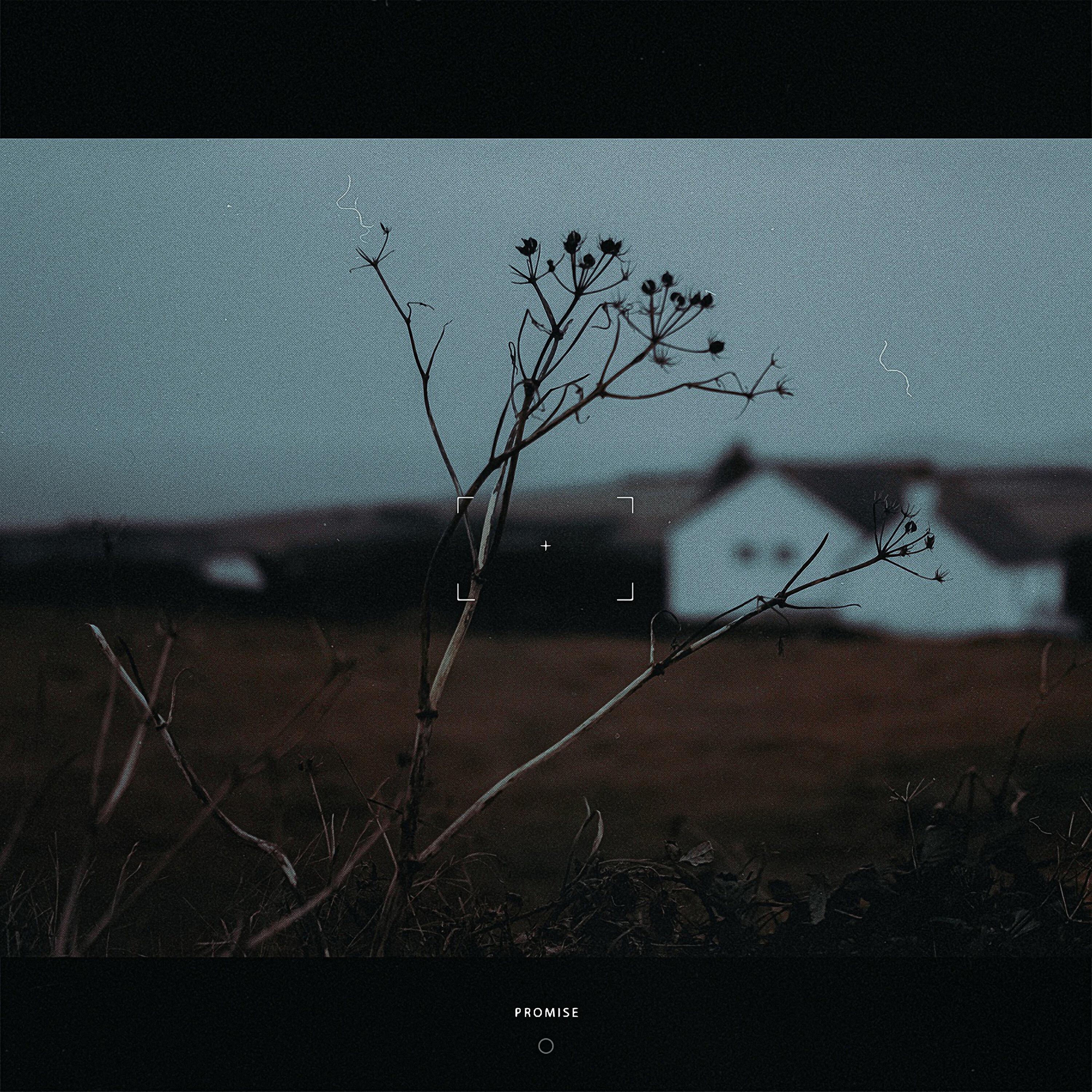 Релиз Promise