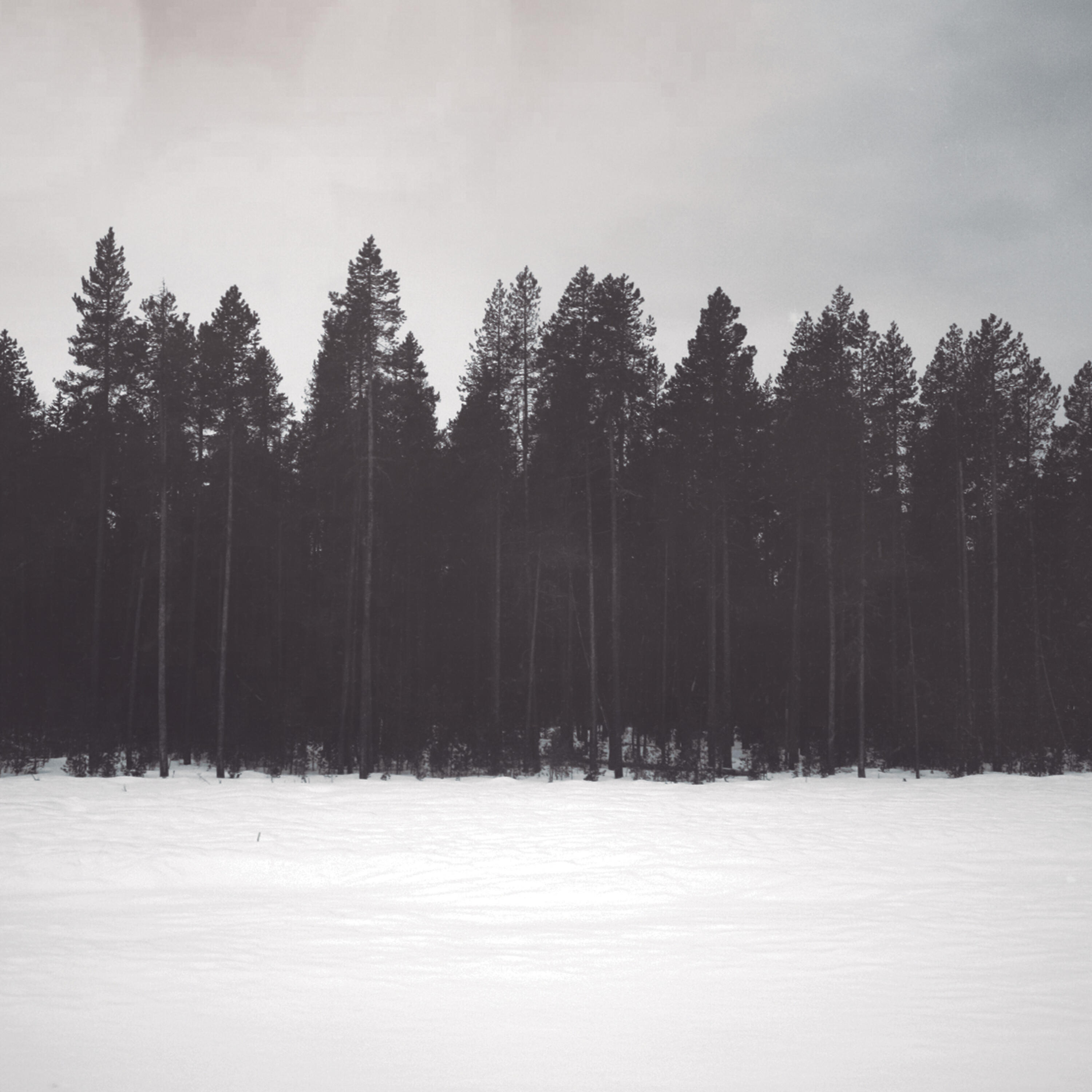 Релиз Great North