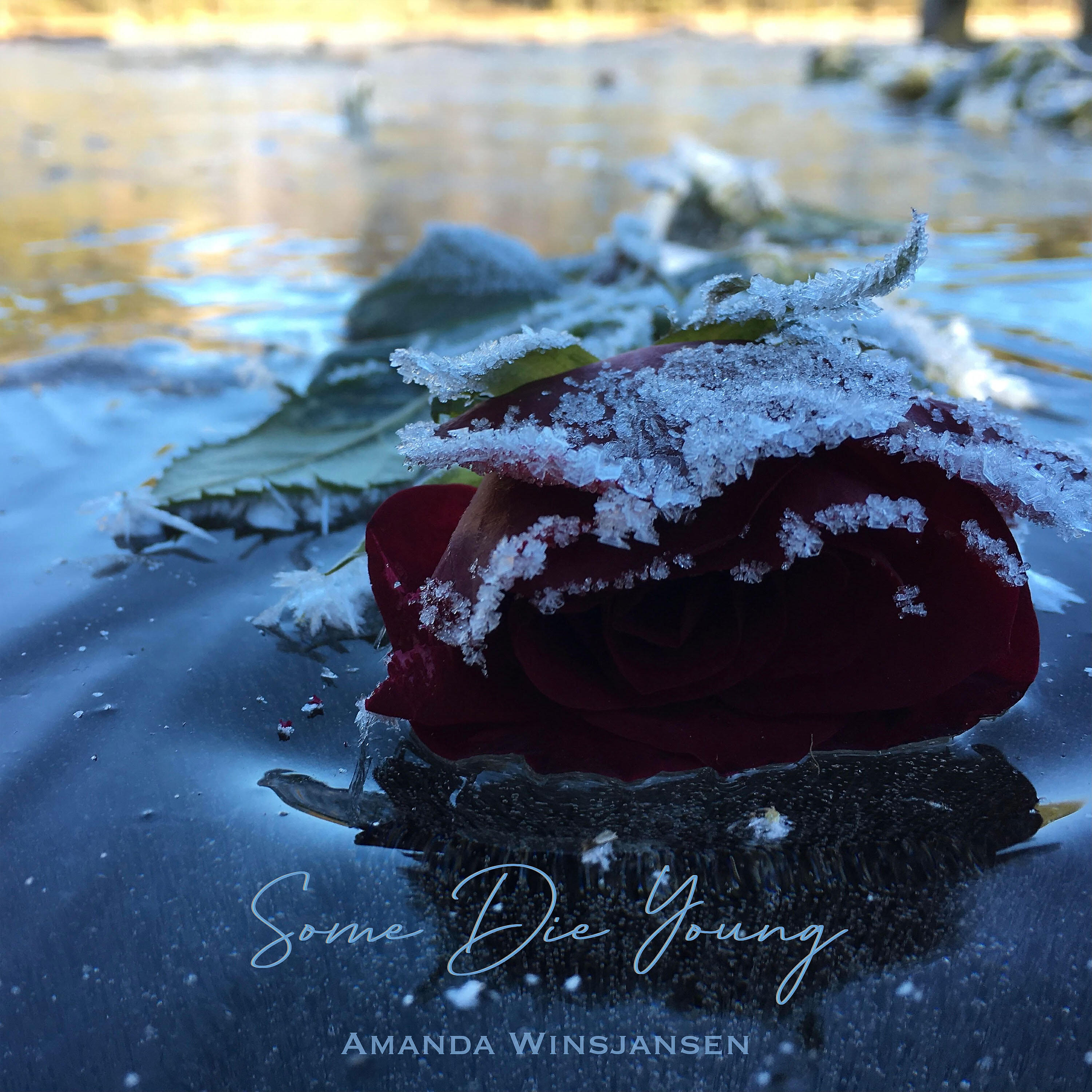 Релиз Some Die Young