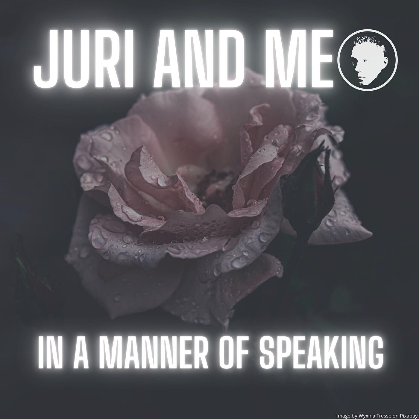 Релиз In a Manner of Speaking