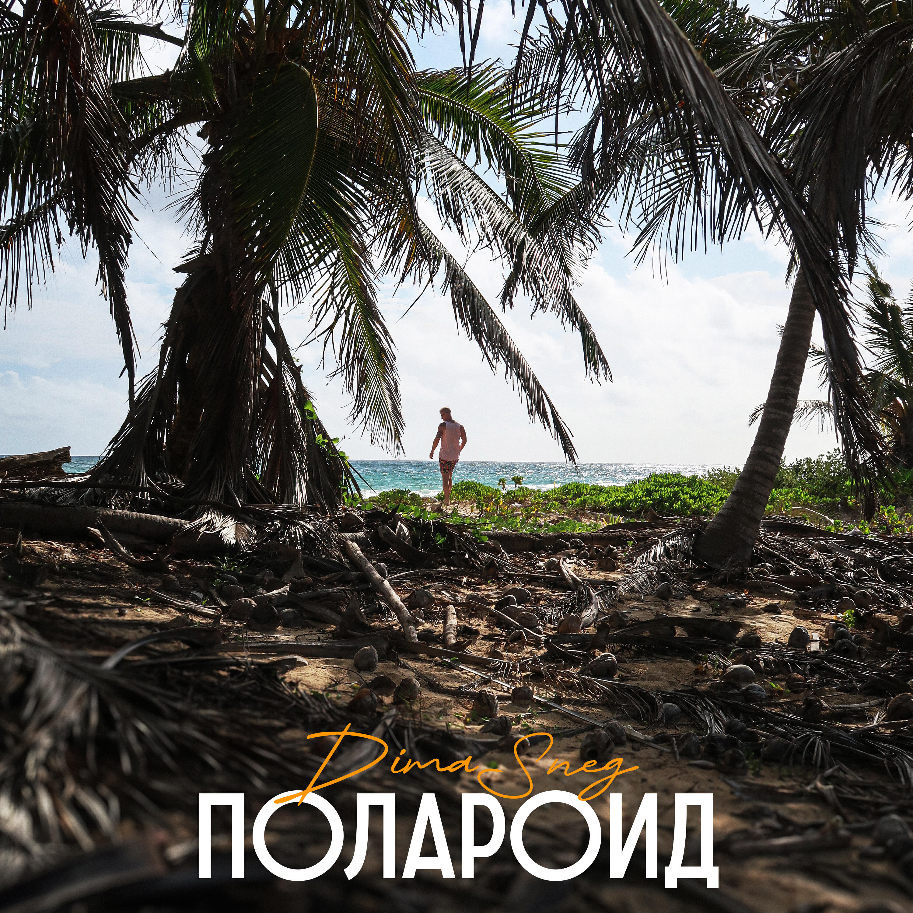 Релиз Полароид