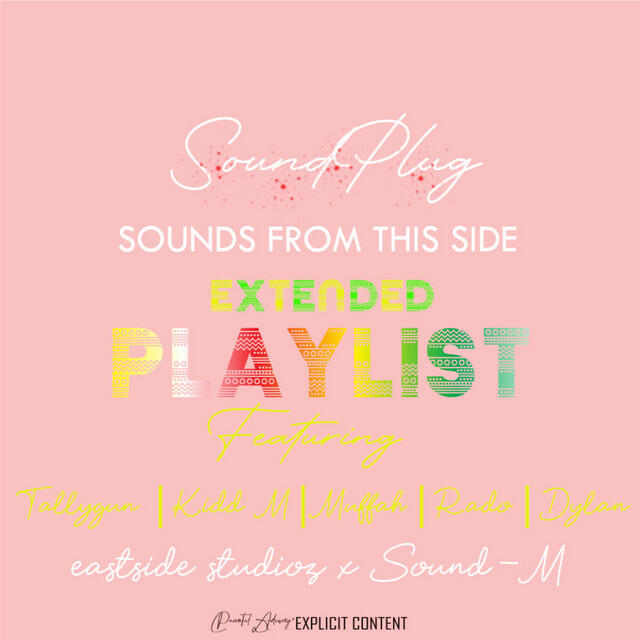 SoundPlug ZW