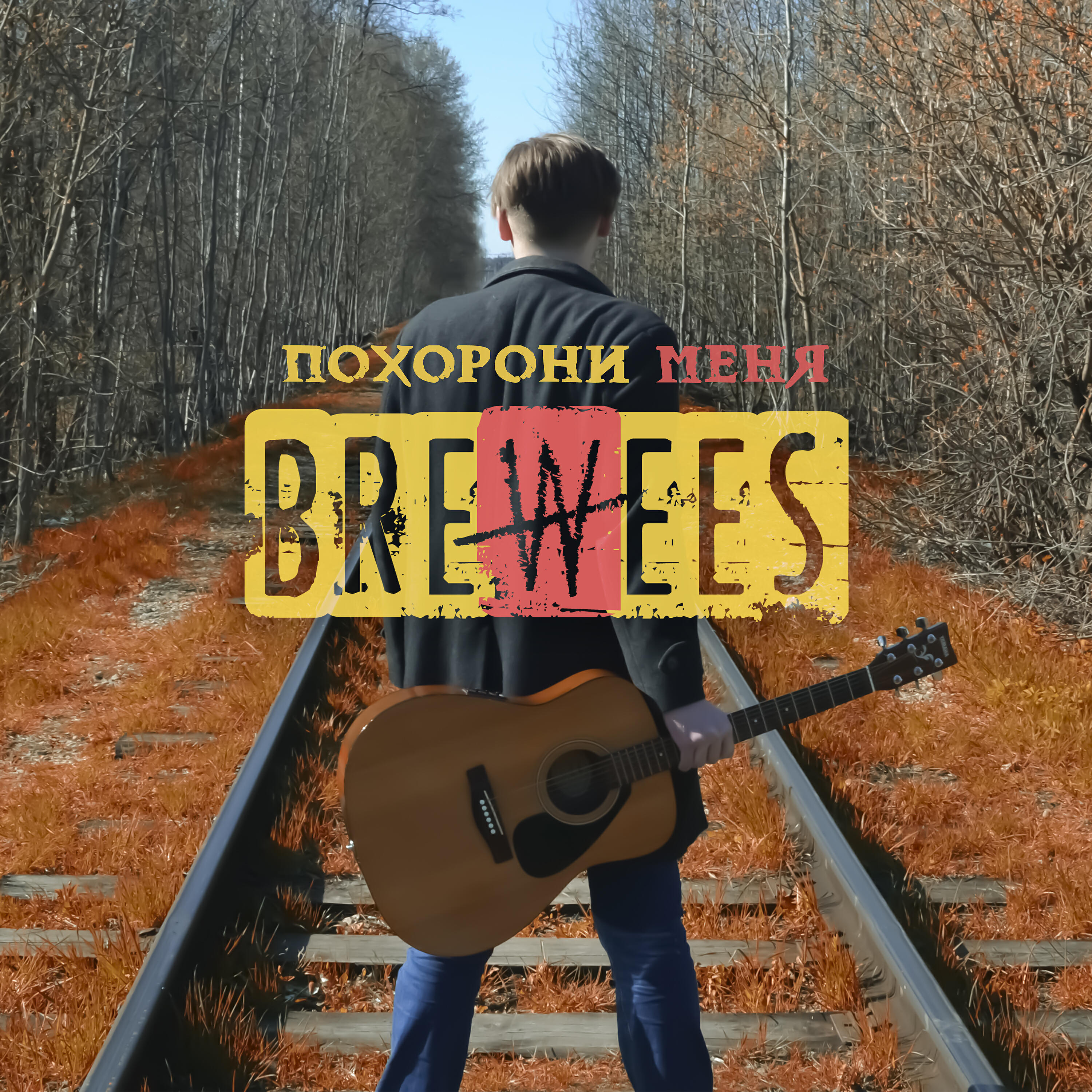Постер альбома Похорони меня