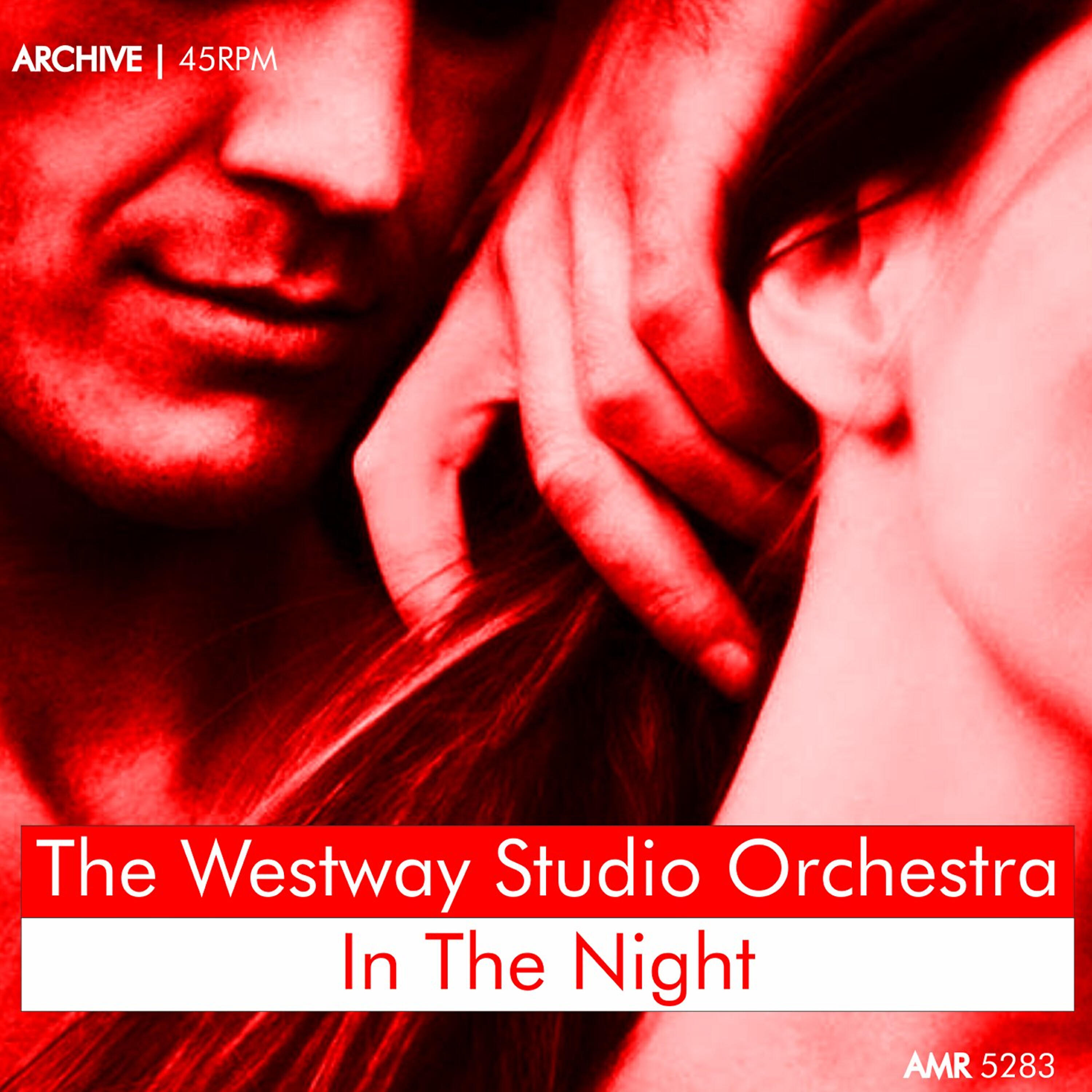 Релиз In the Night