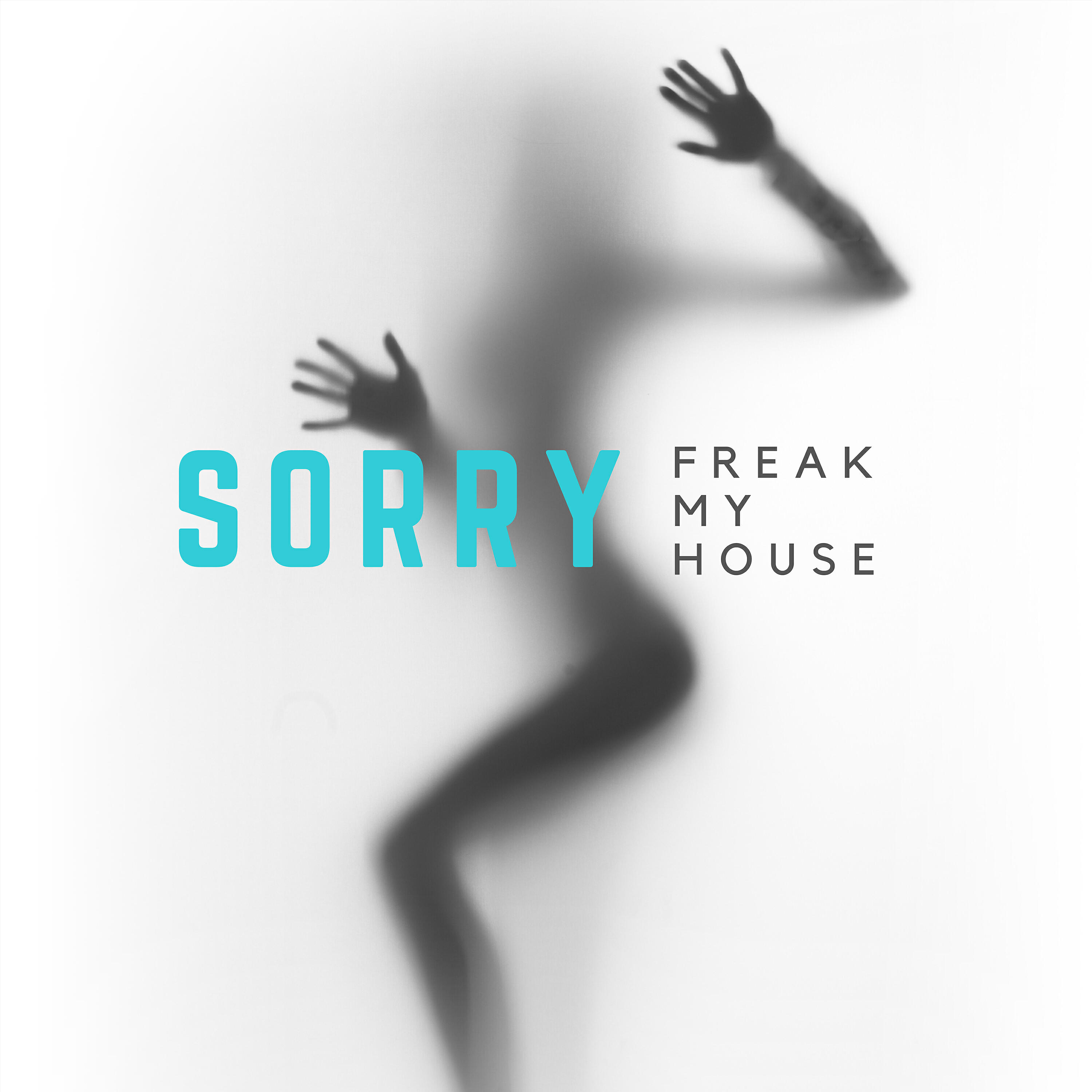 Релиз Sorry