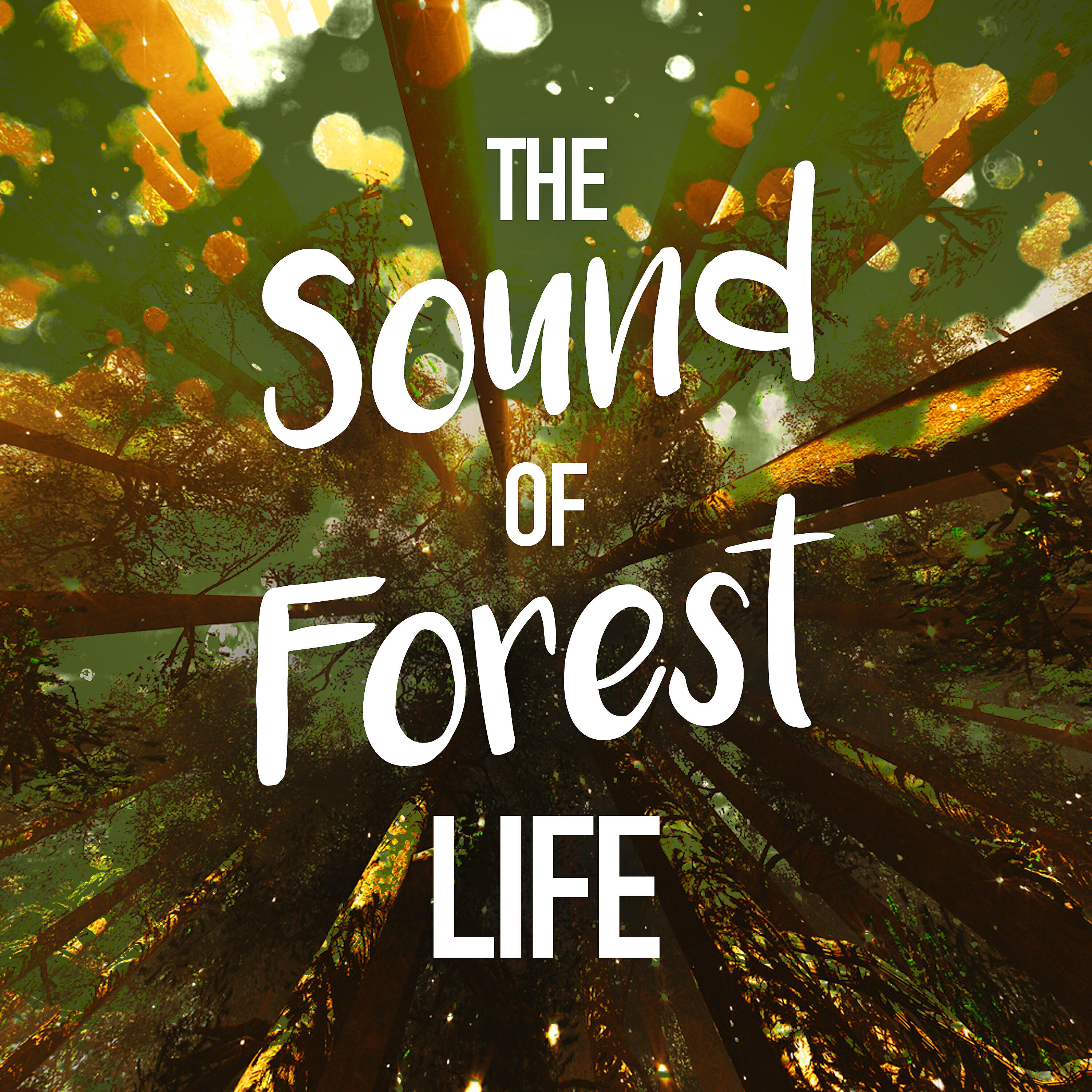 Релиз The Sound of Forest Life