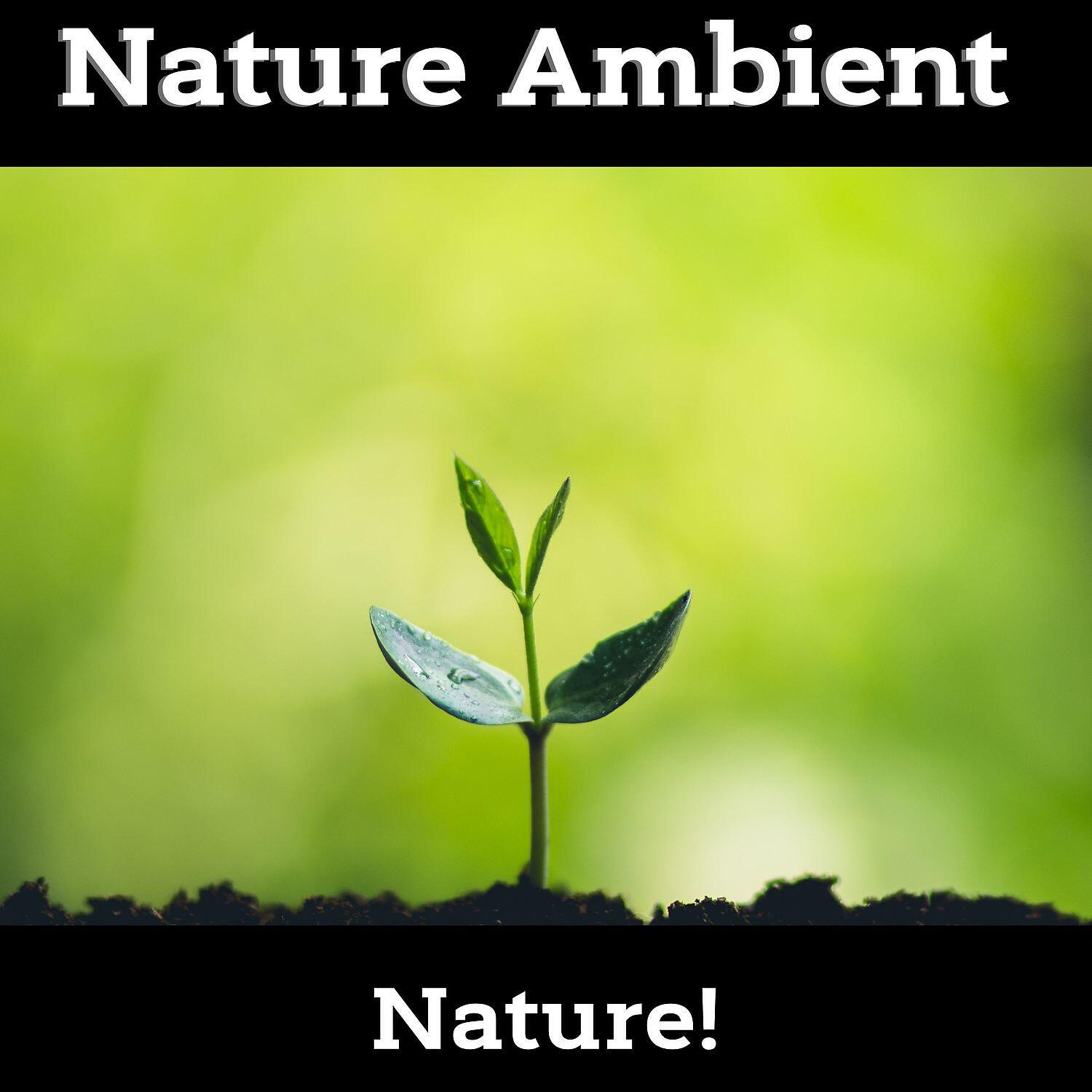 Постер альбома Nature Ambient - Deep Hypnosis
