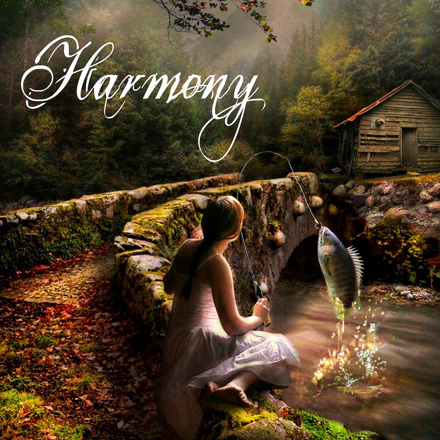 Постер альбома Harmony