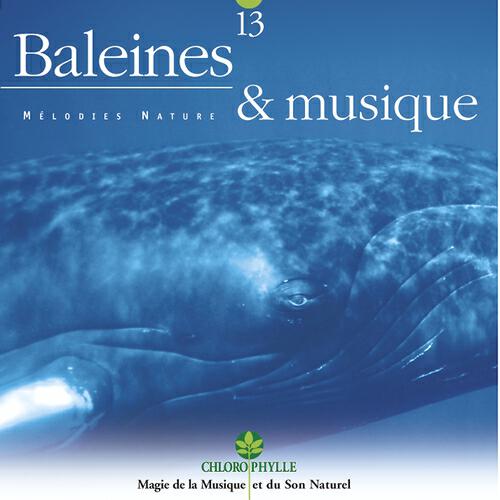 Релиз Chlorophylle 13 : Baleines & musique