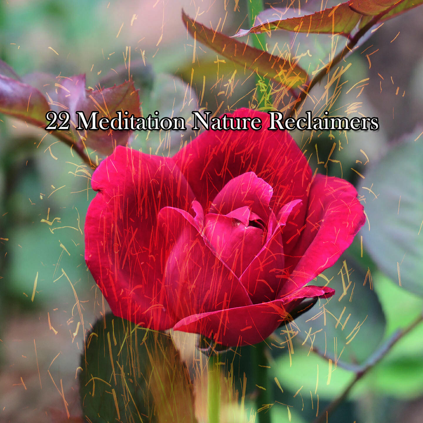 Постер альбома 22 Meditation Nature Reclaimers