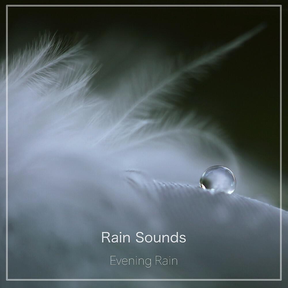 Релиз Evening Rain