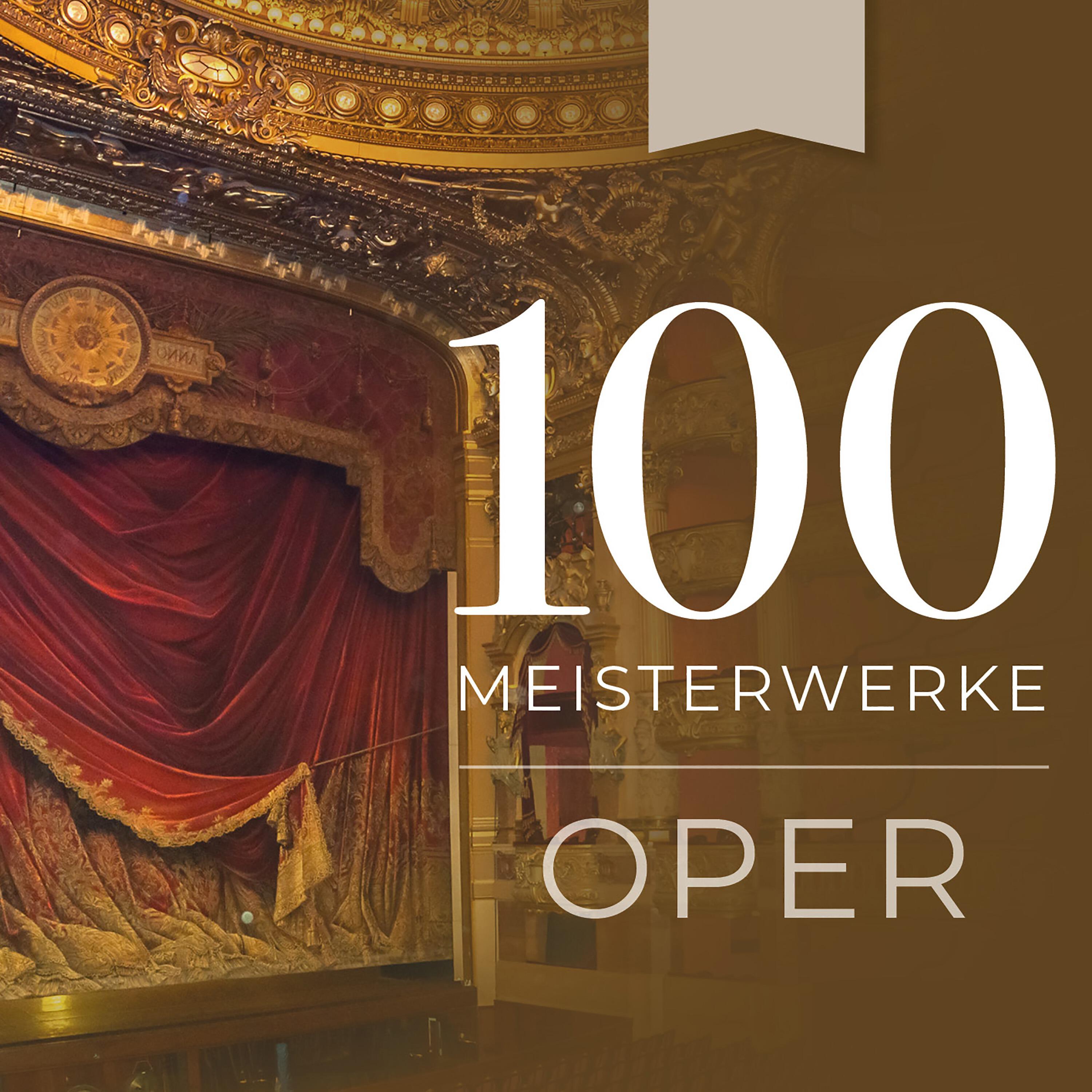 Релиз 100 Meisterwerke Oper