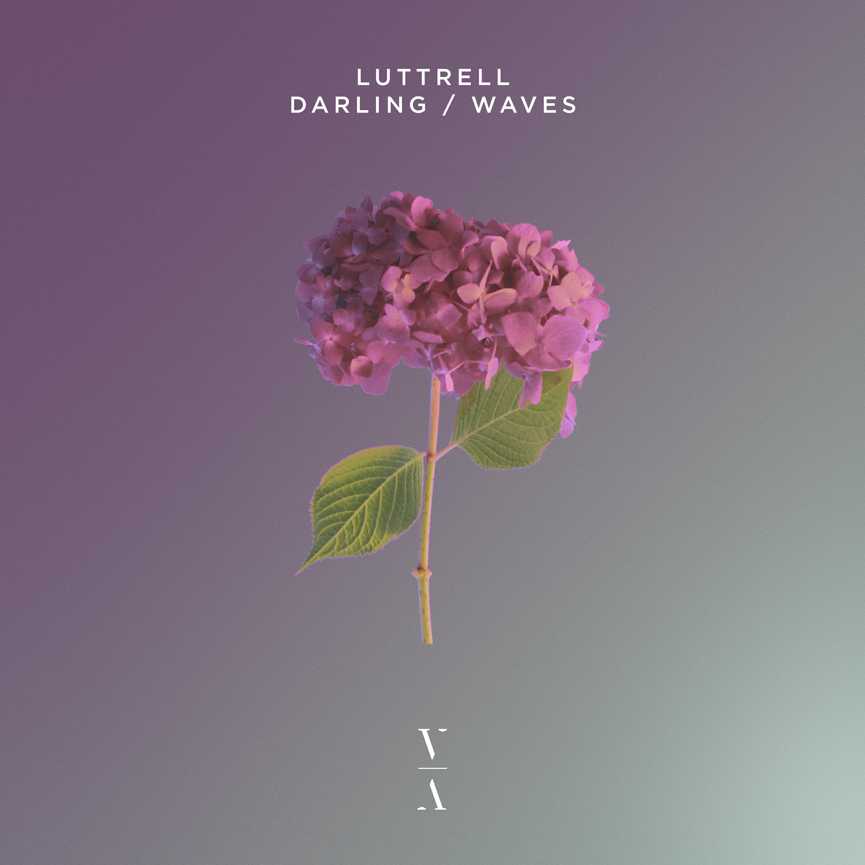Релиз Darling / Waves
