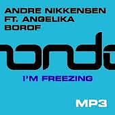 Andre Nikkensen