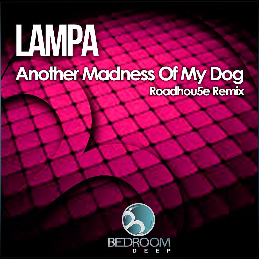 Постер альбома Another Madness Of My Dog