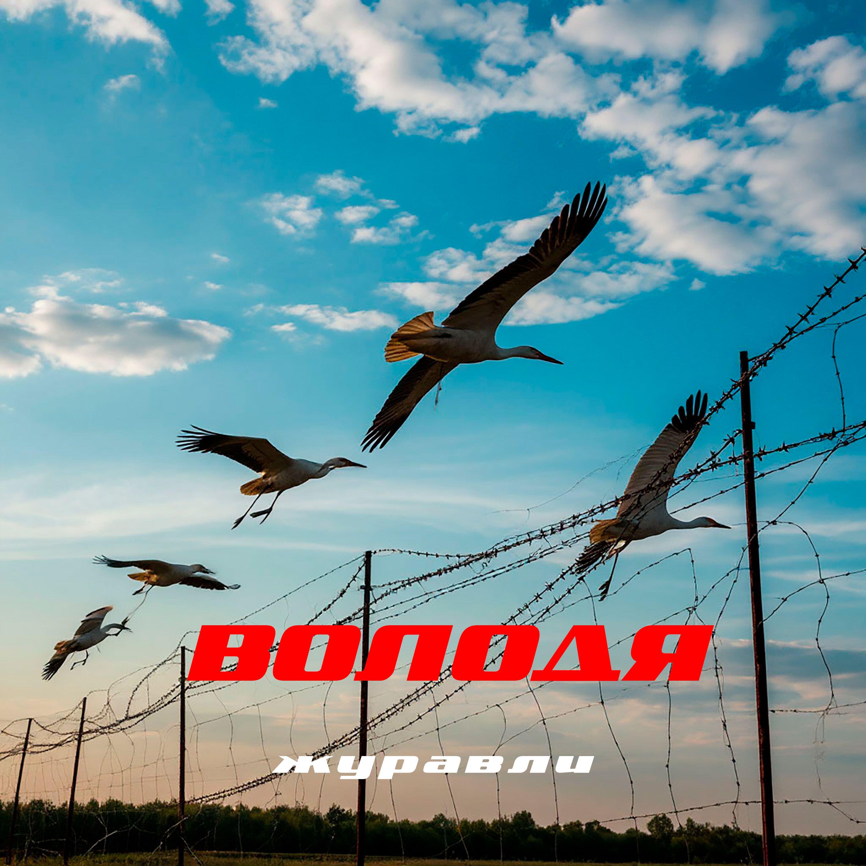 Релиз Журавли