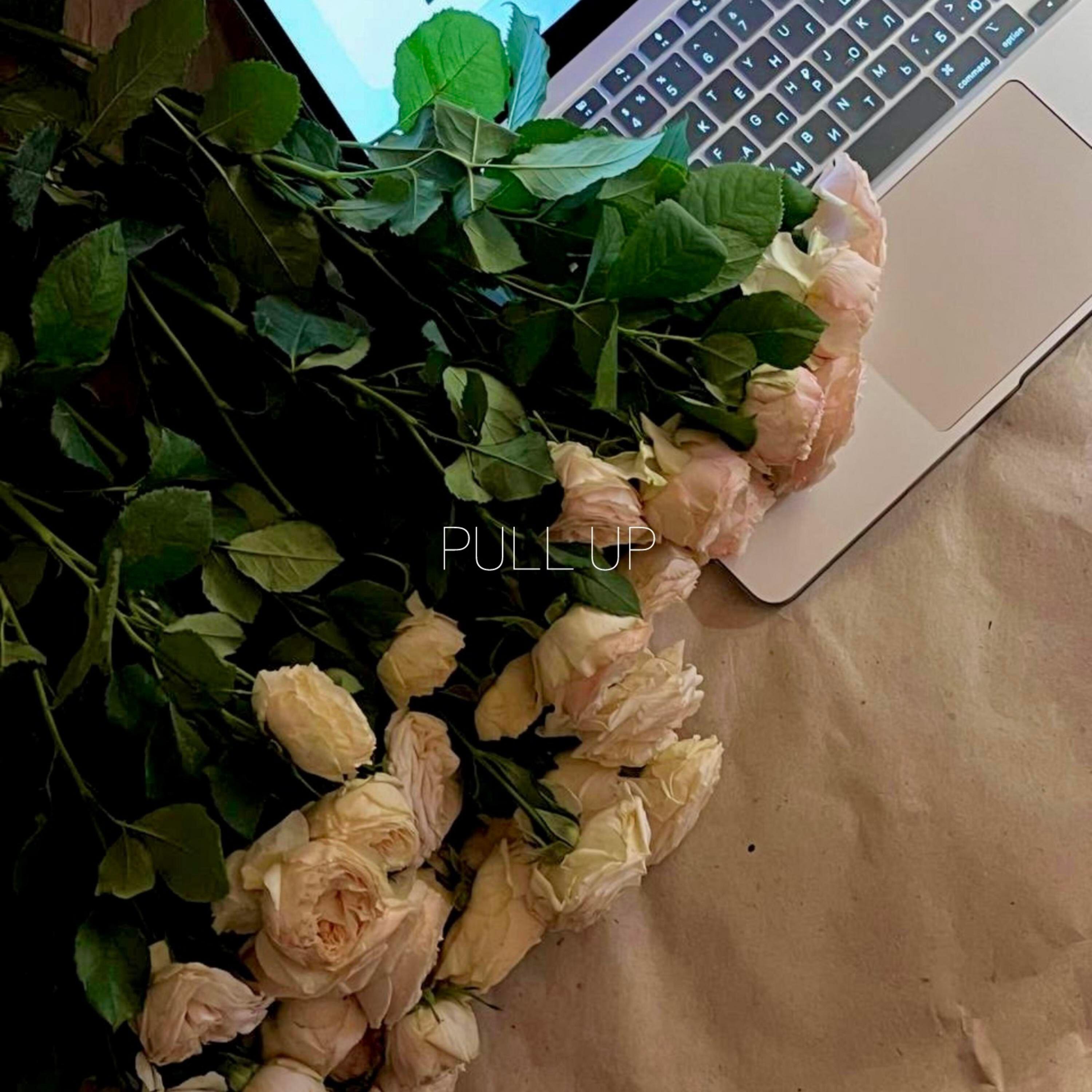 Релиз Pull up