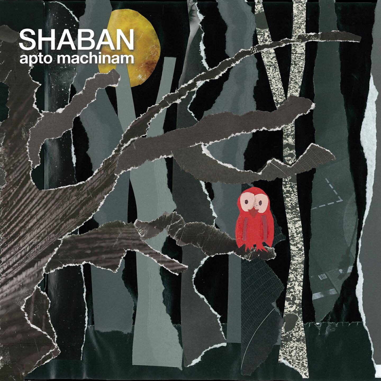 Релиз Apto Machinam